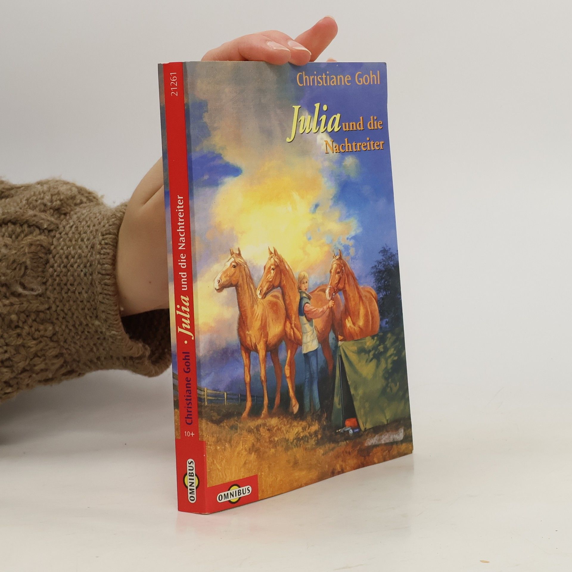 Christiane Gohl Julia und die Nachtreiter