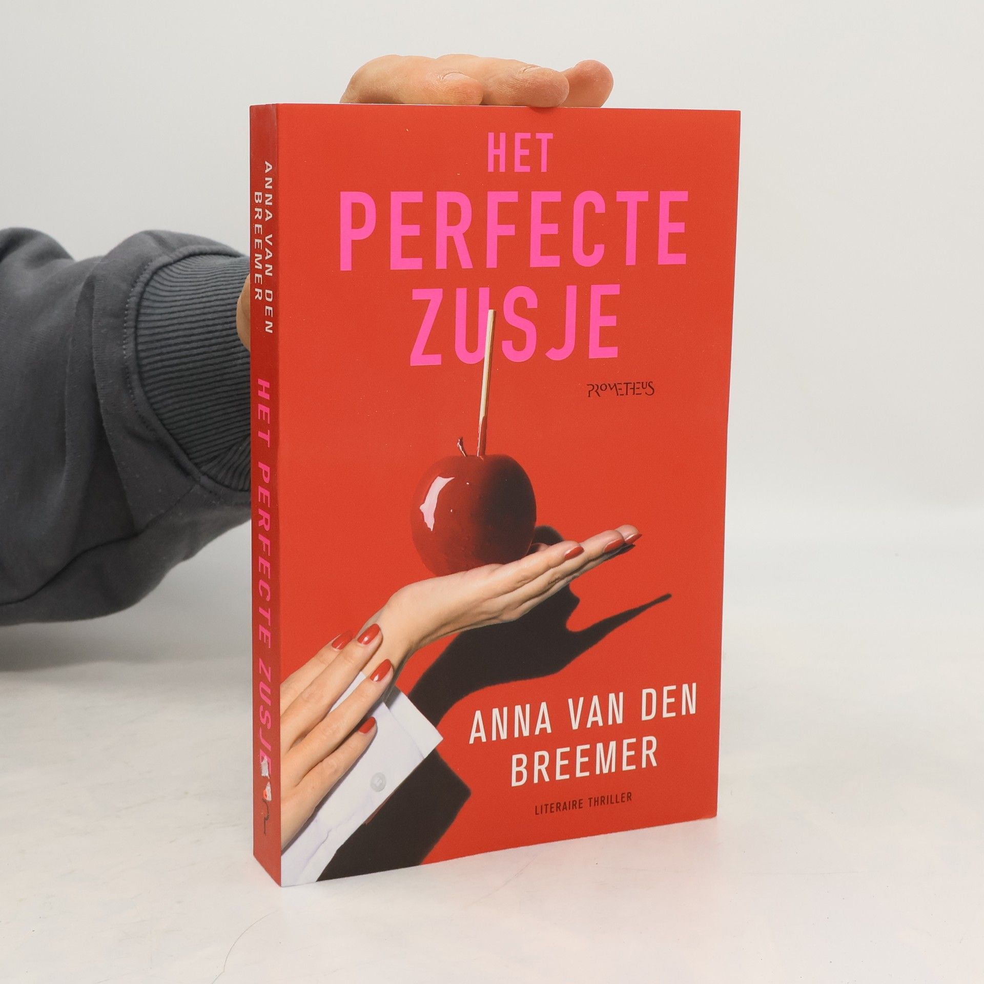 Anna van den Breemer Het perfecte zusje