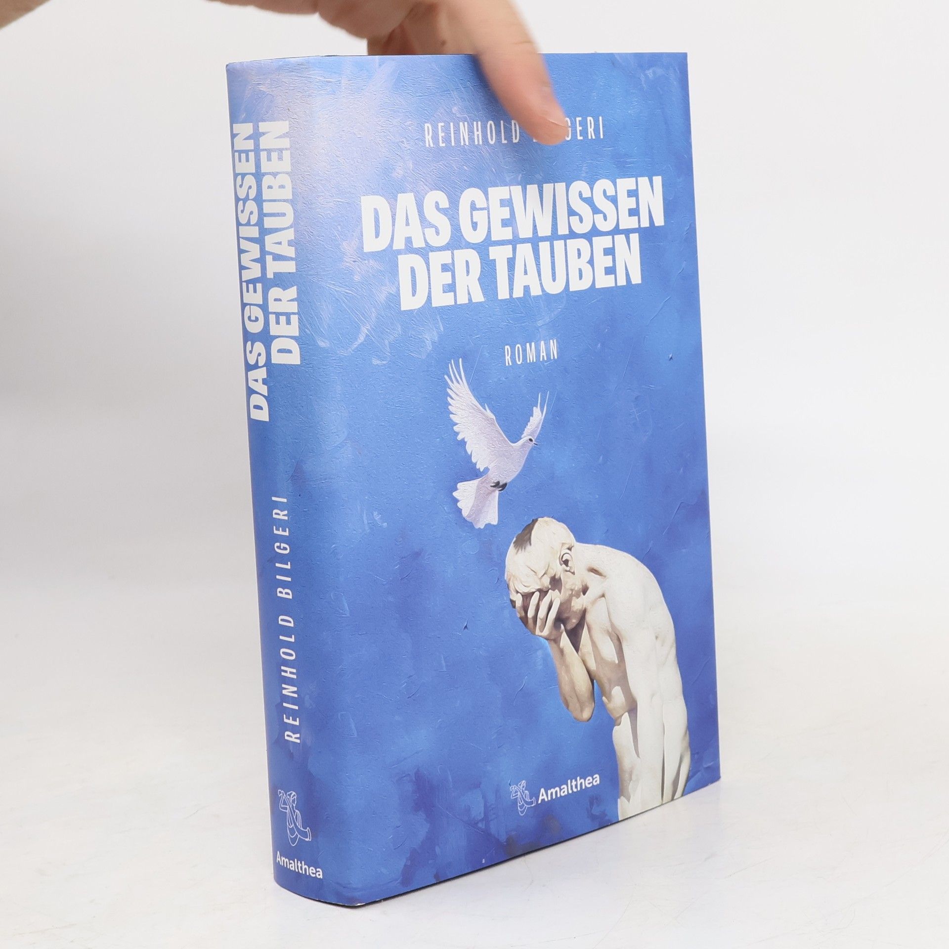 Reinhold Bilgeri Das Gewissen der Tauben