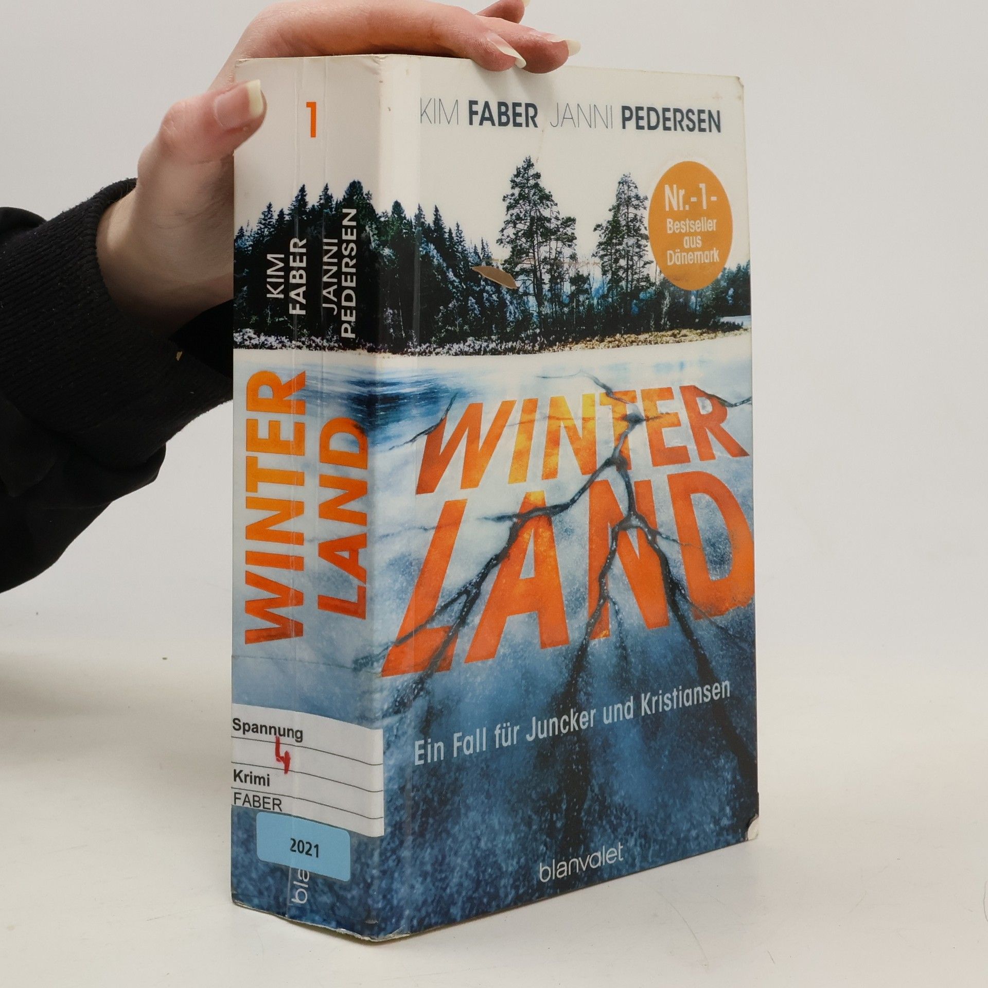 Kim Faber Winterland