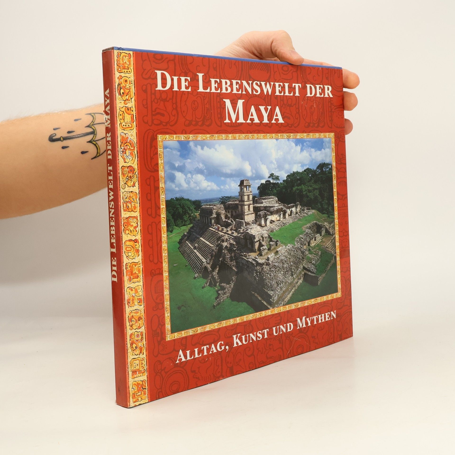 Timothy Laughton Die Lebenswelt der Maya