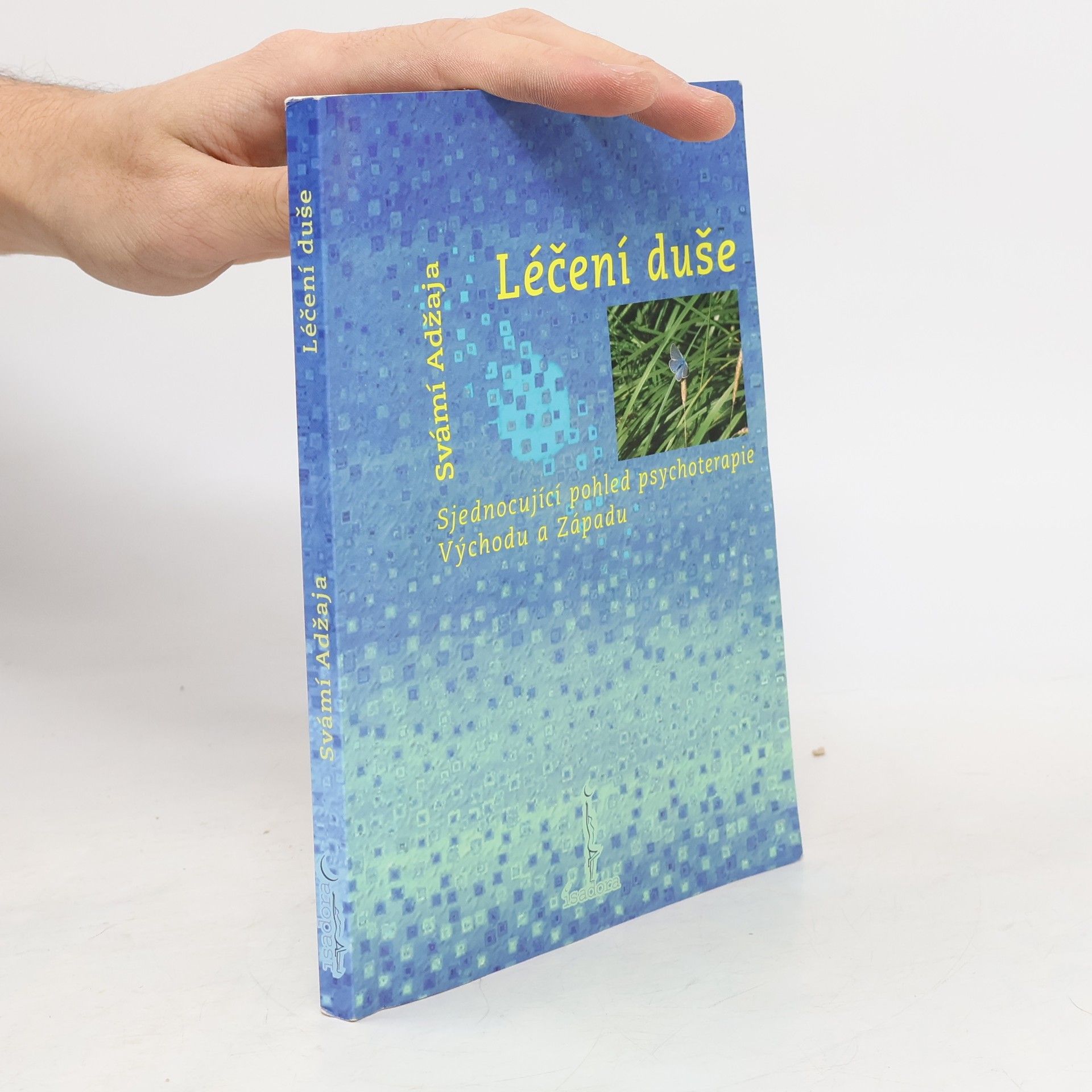 Svámí Adžaja Léčení duše