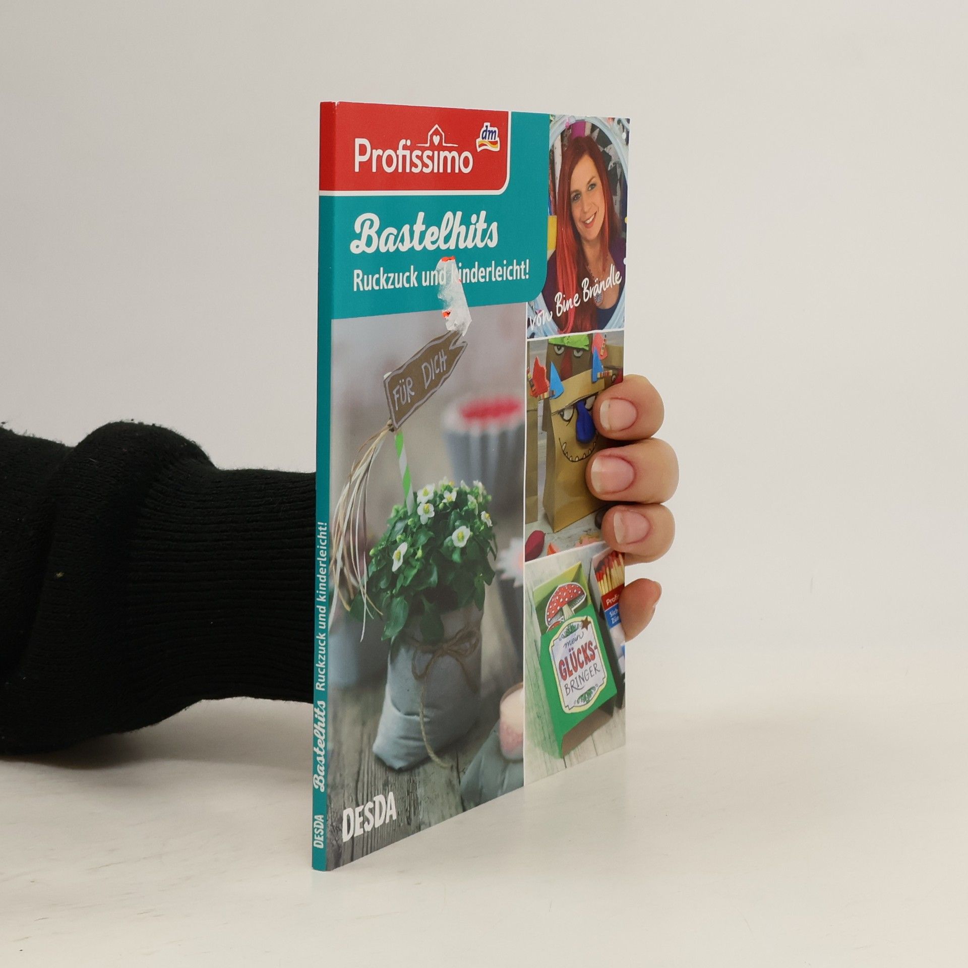 Kolektív autorov Bastelhits. Ruckzuck und Kinderleicht!