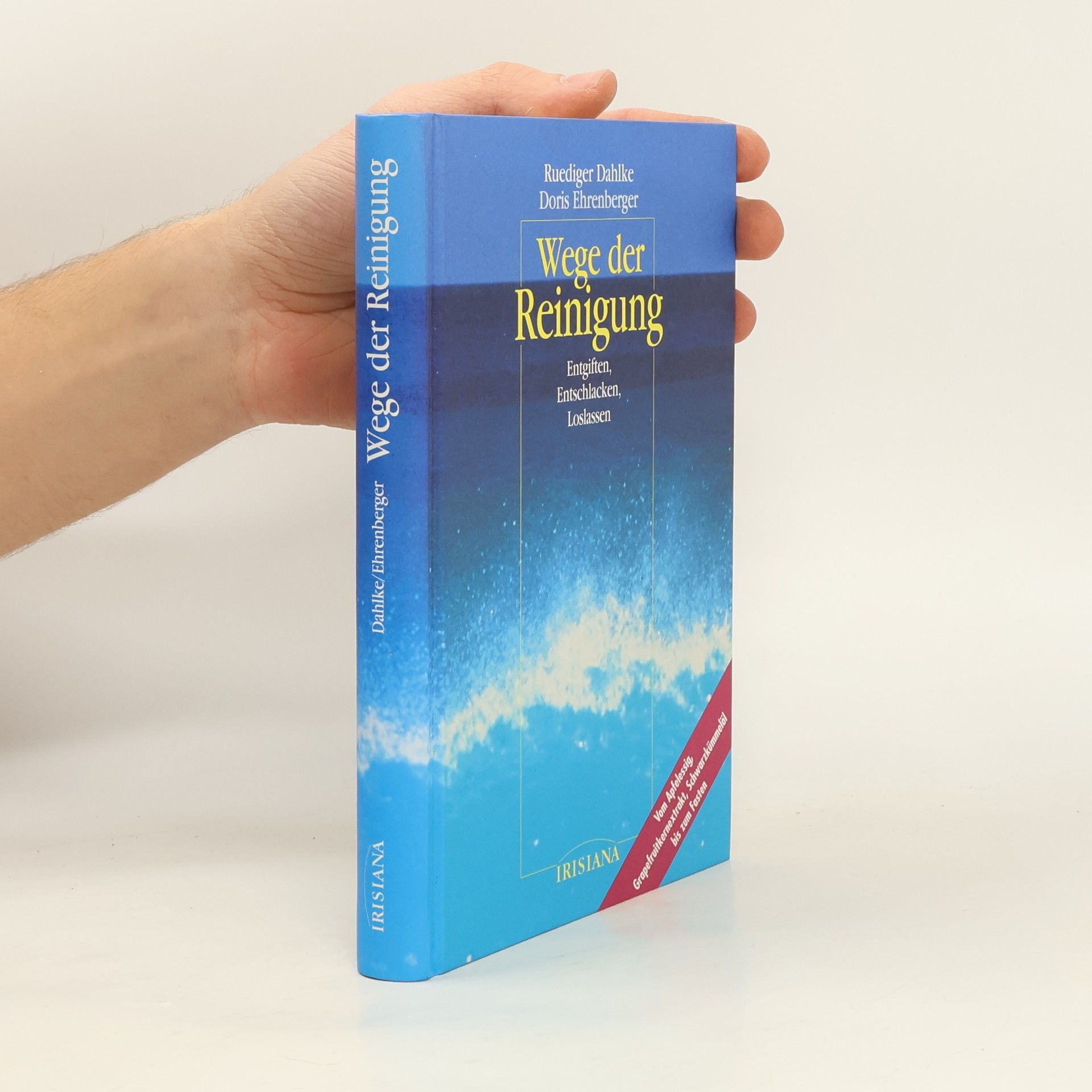 Ruediger Dahlke Wege der Reinigung