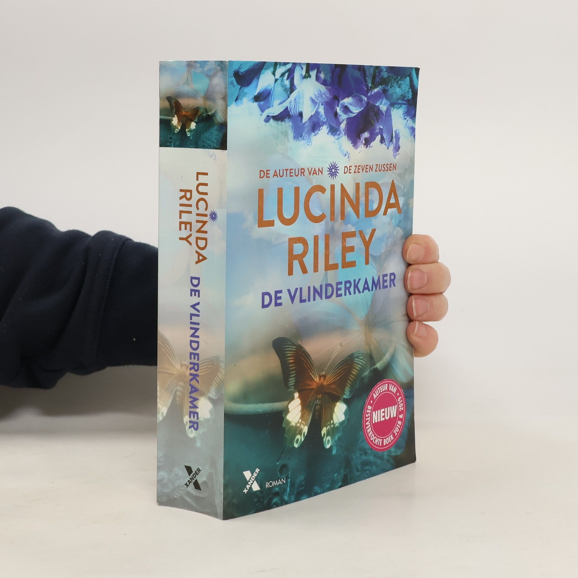 Lucinda Riley De vlinderkamer