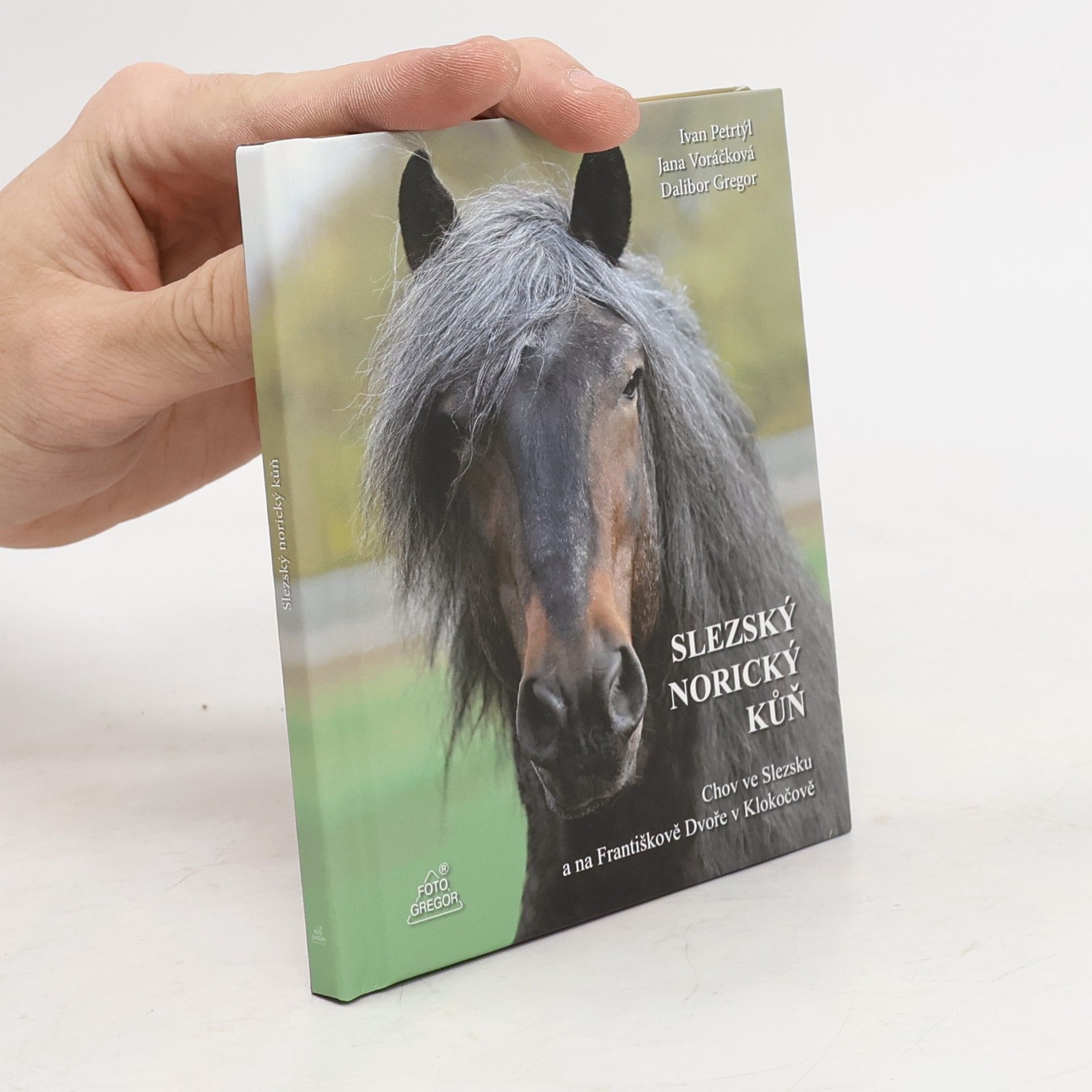Slezský norický kůň: Chov ve Slezsku a na Františkově Dvoře v Klokočově