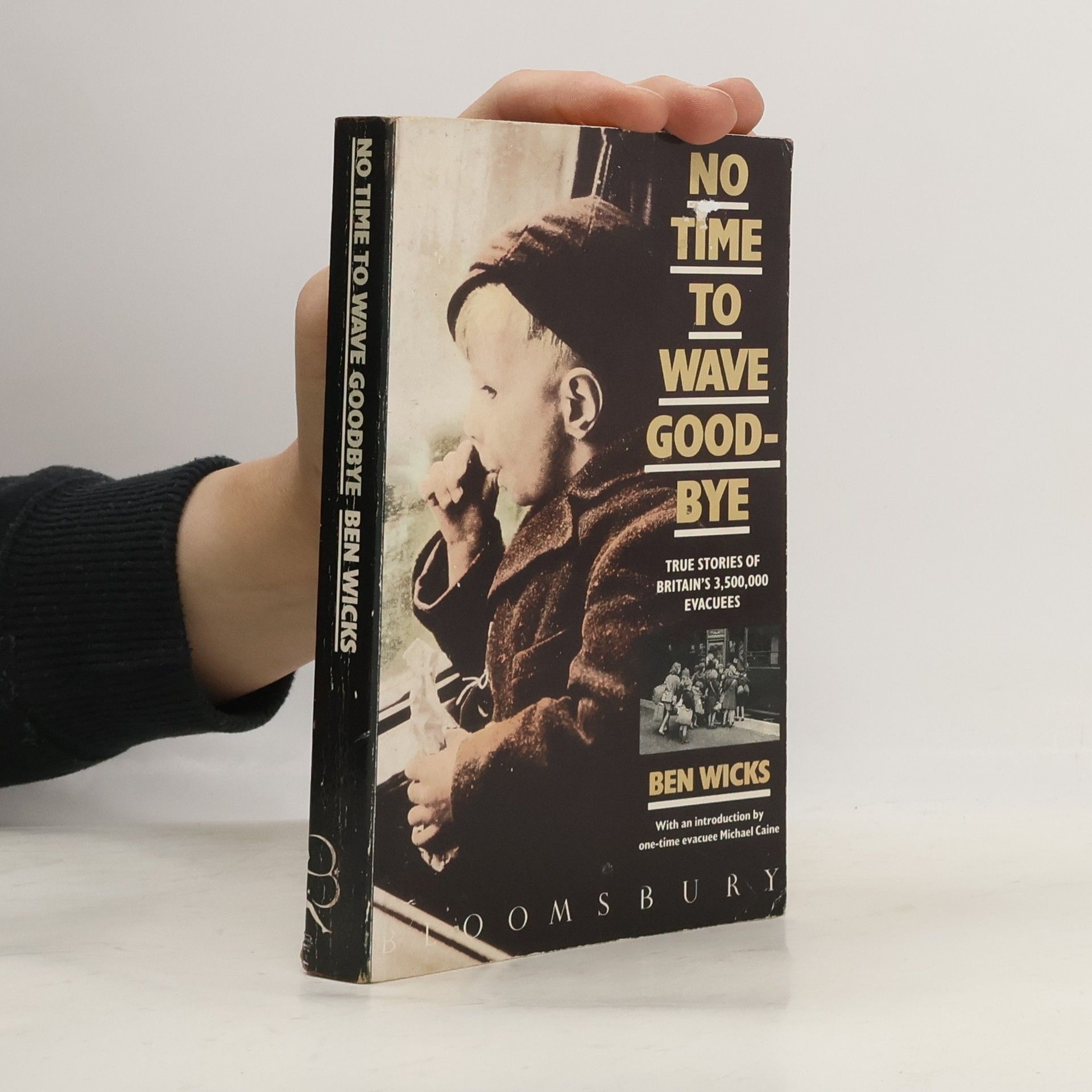 Ben Wicks No Time to Wave Goodbye