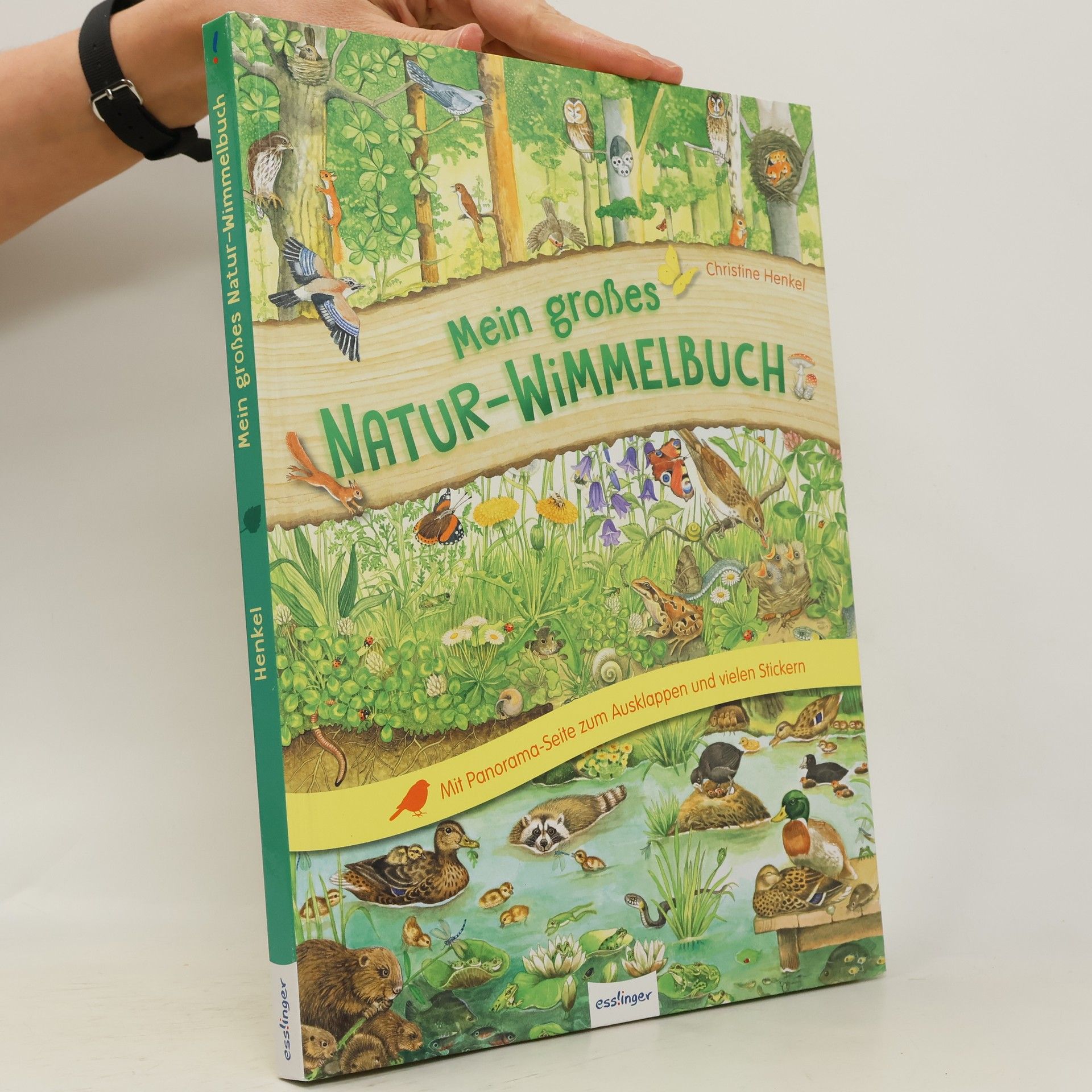 Christine Henkel Mein großes Natur-Wimmelbuch