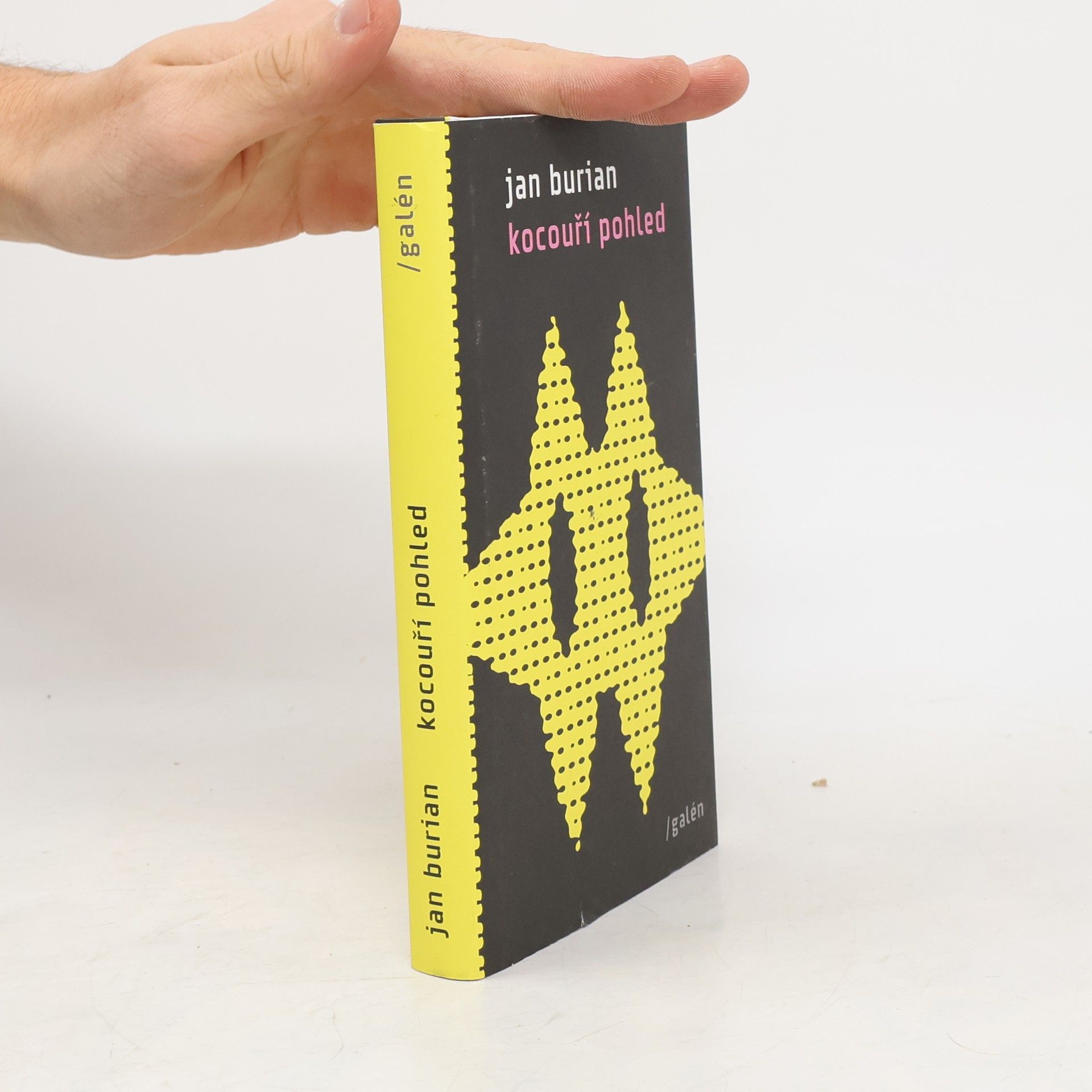 Jan Burian Kocouří pohled