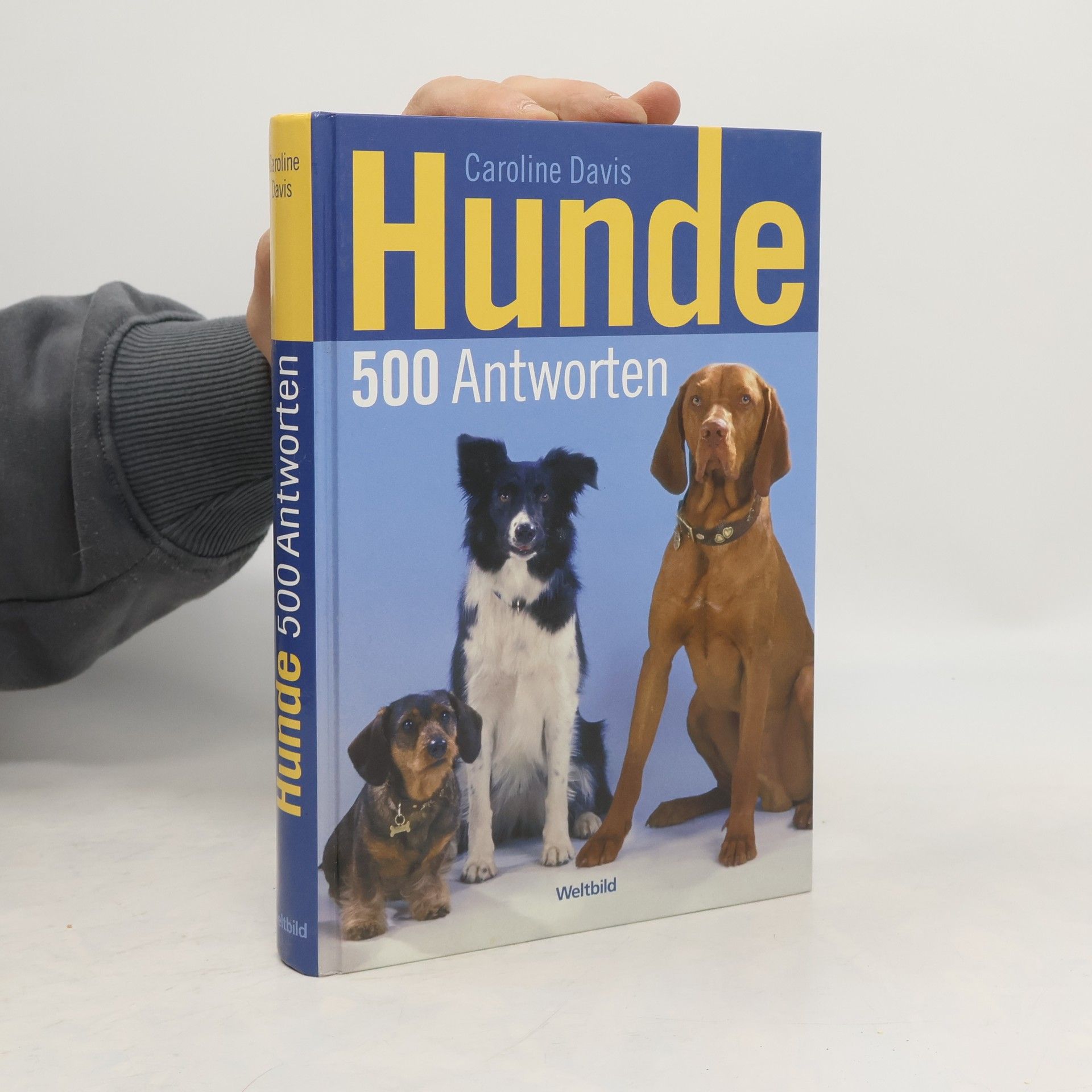 Caroline Davis Hunde