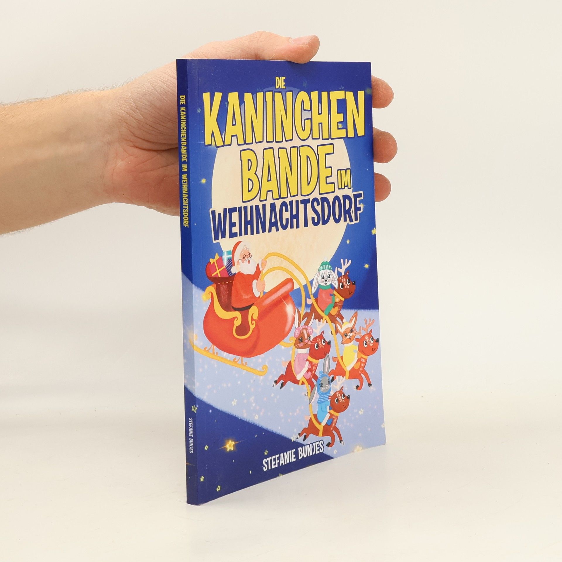 Stefanie Bunjes Die Kaninchenbande im Weihnachtsdorf