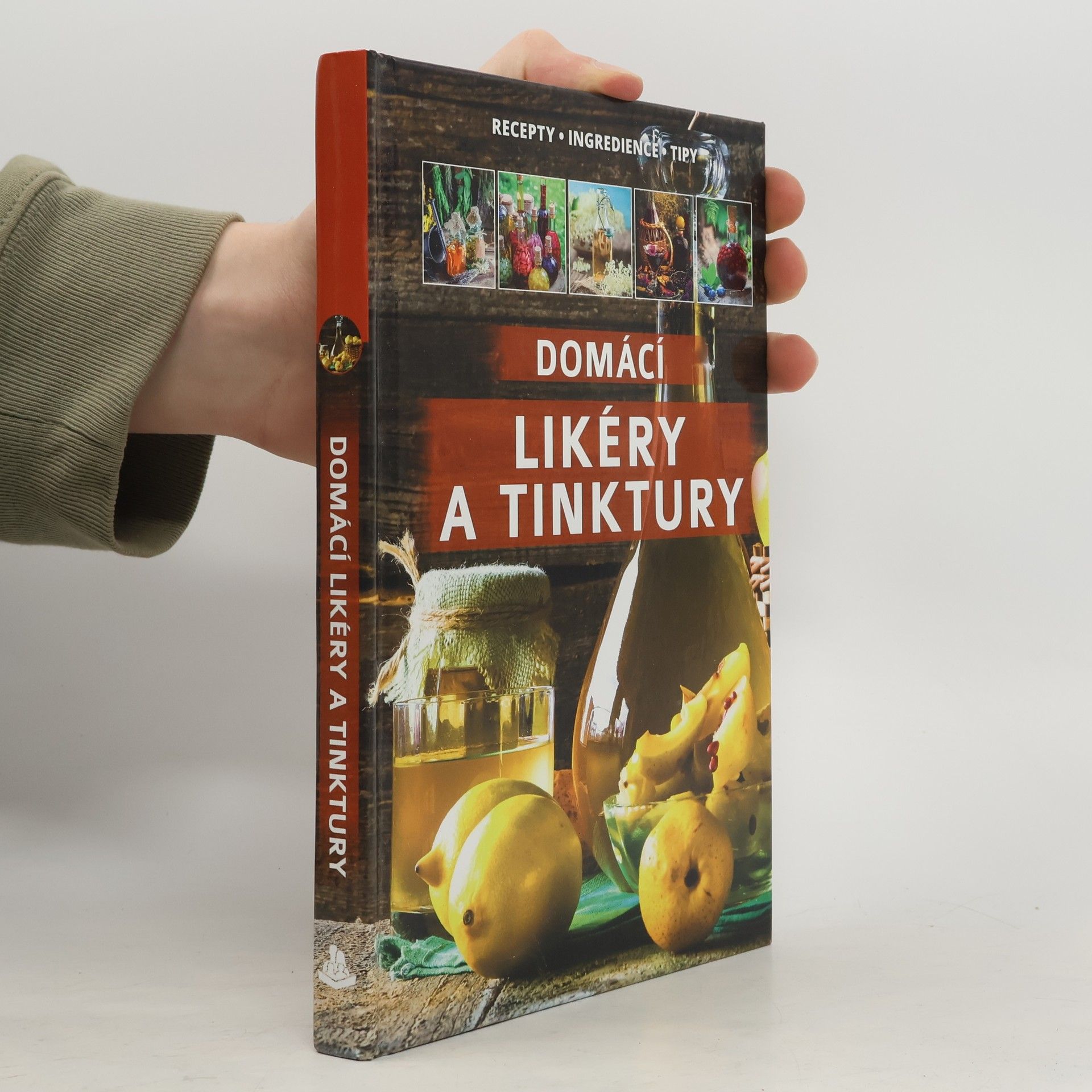 Bogdan Heinz Domácí likéry a tinktury : recepty, ingredience, tipy