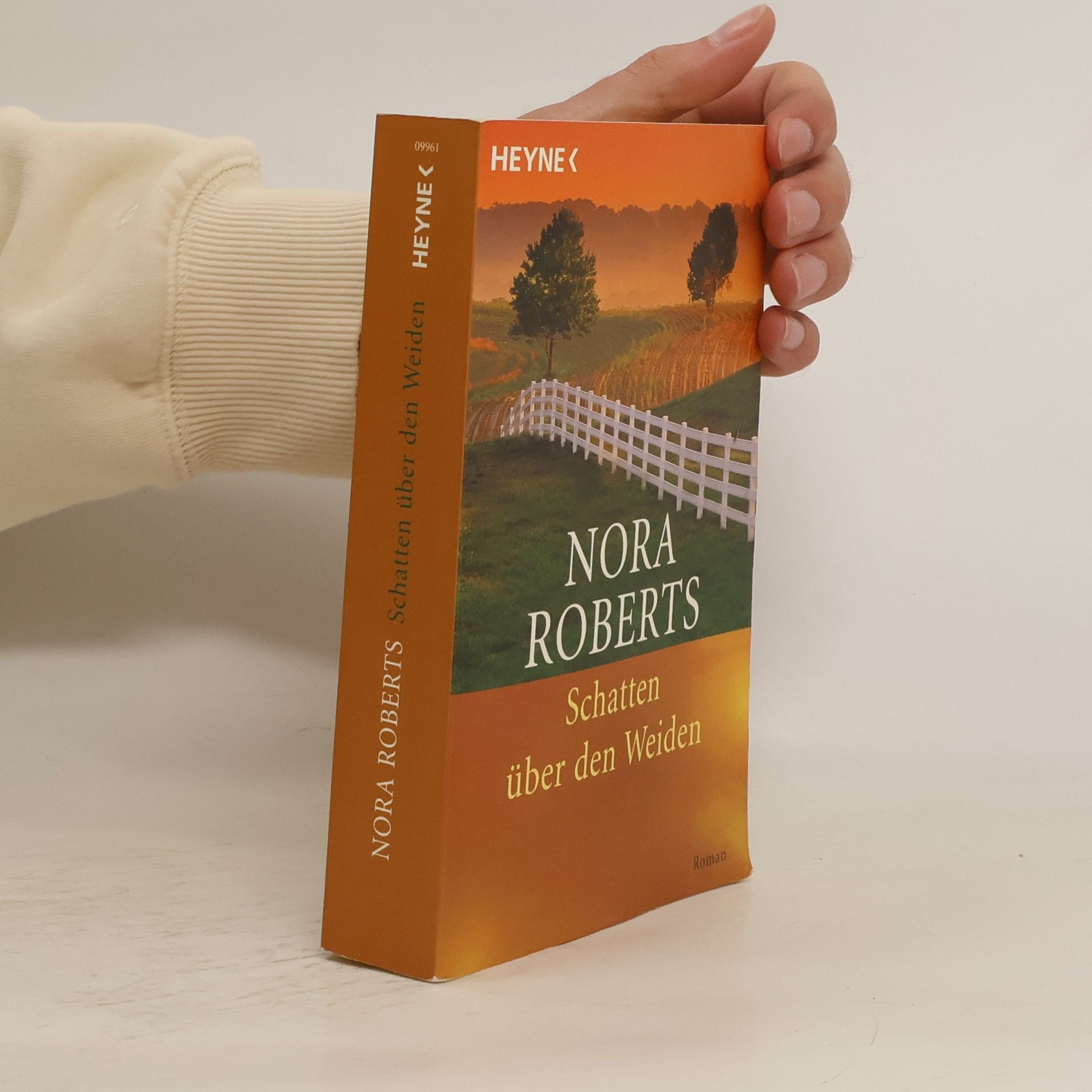Nora Roberts Schatten über den Weiden