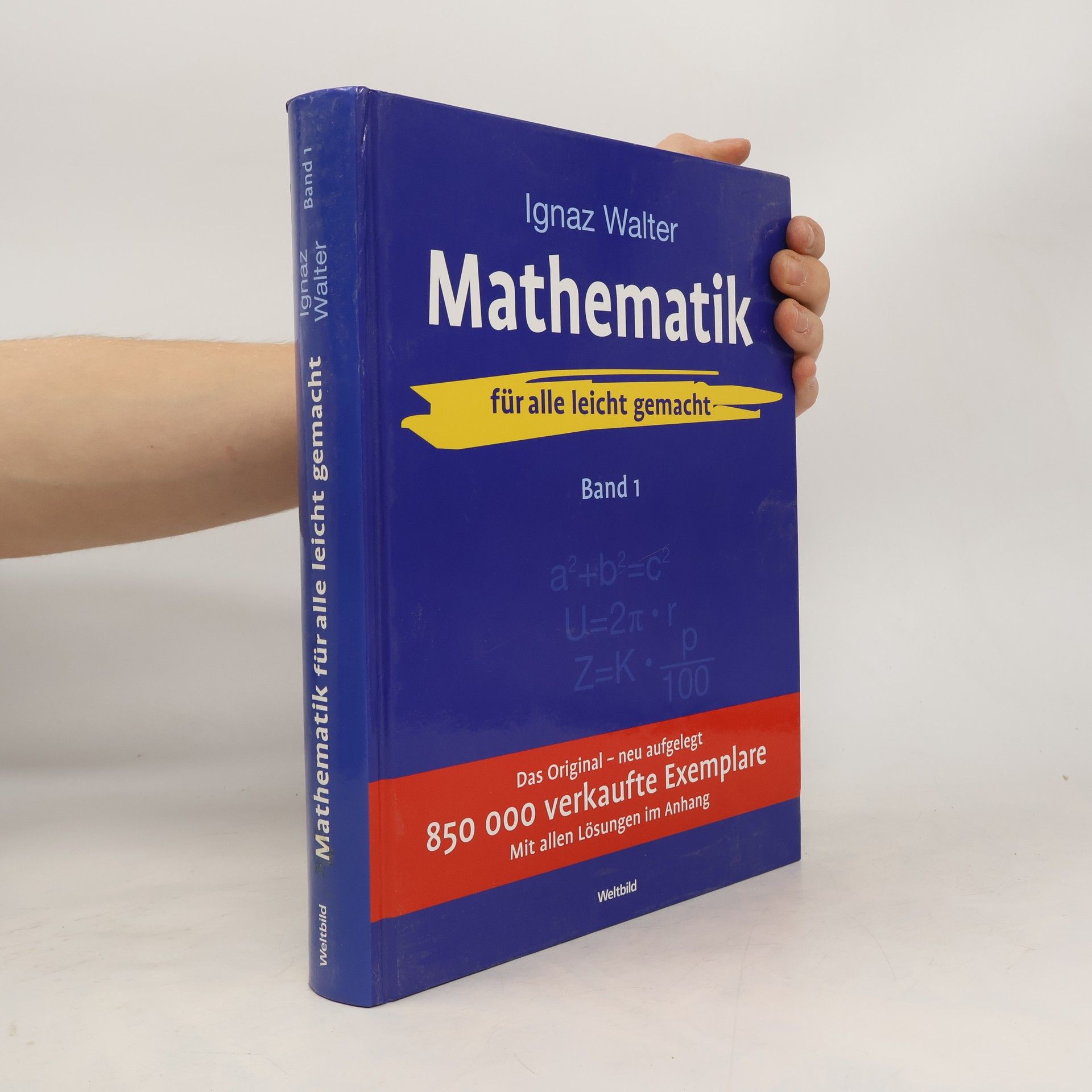 Ignaz Walter Mathematik Band 1 - für alle leicht gemacht