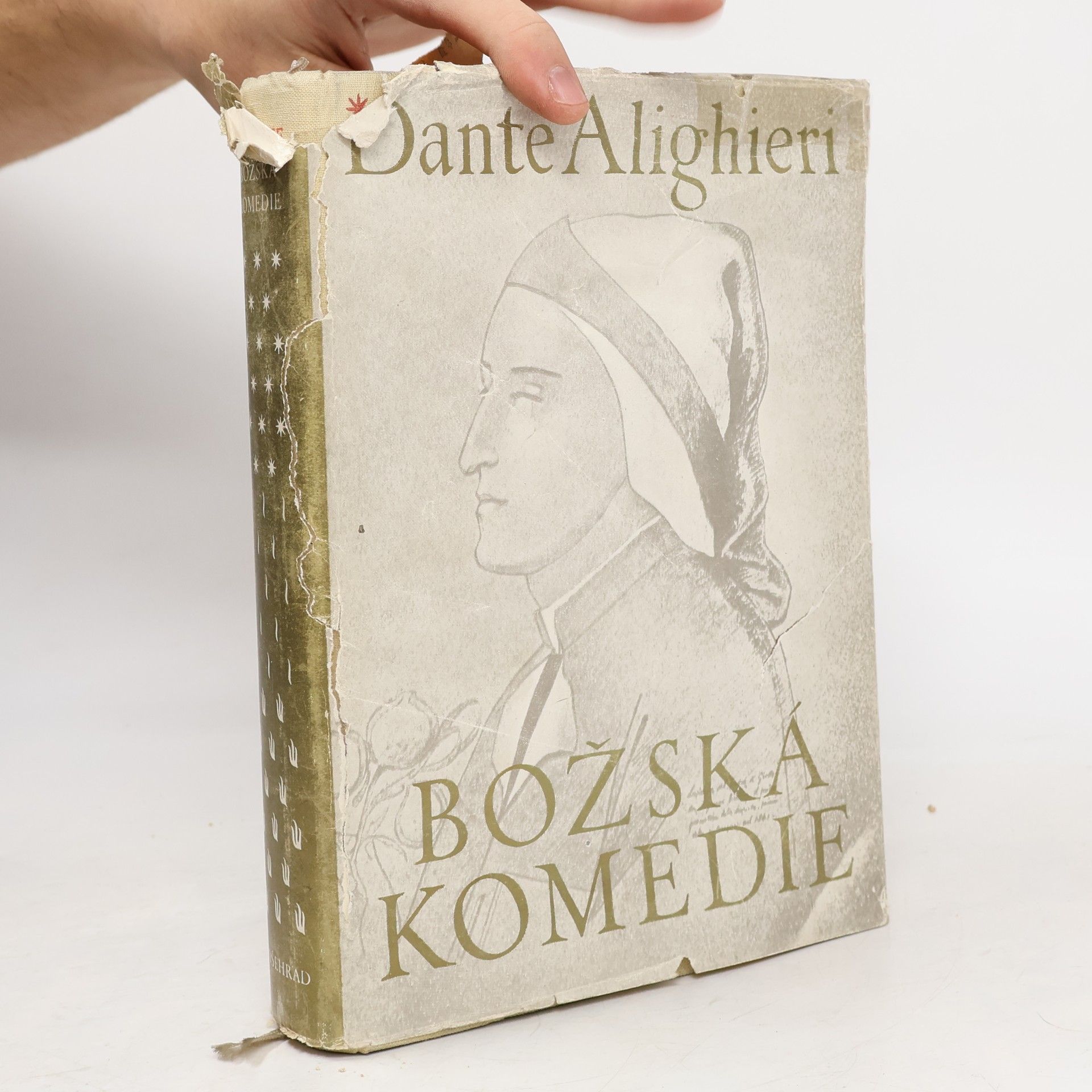 Dante Alighieri Božská komedie