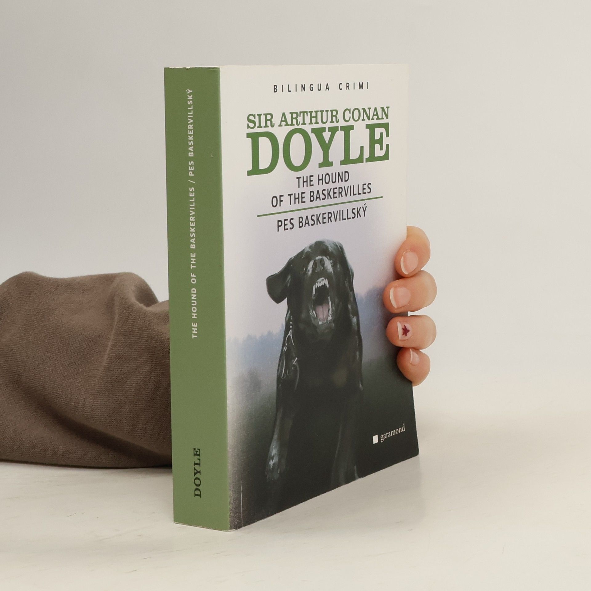 The Hound of the Baskervilles / Pes baskervillský