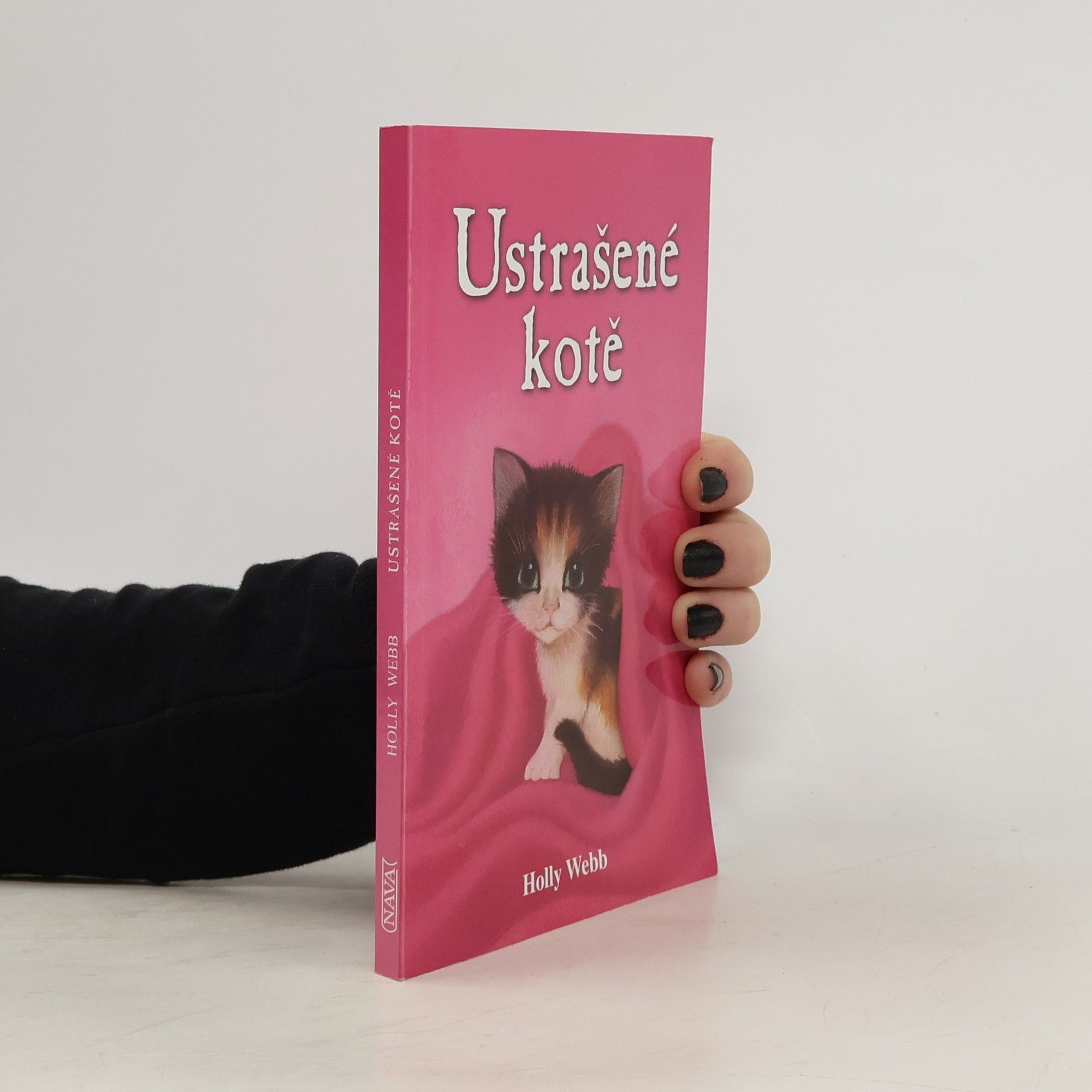 Holly Webb Ustrašené kotě