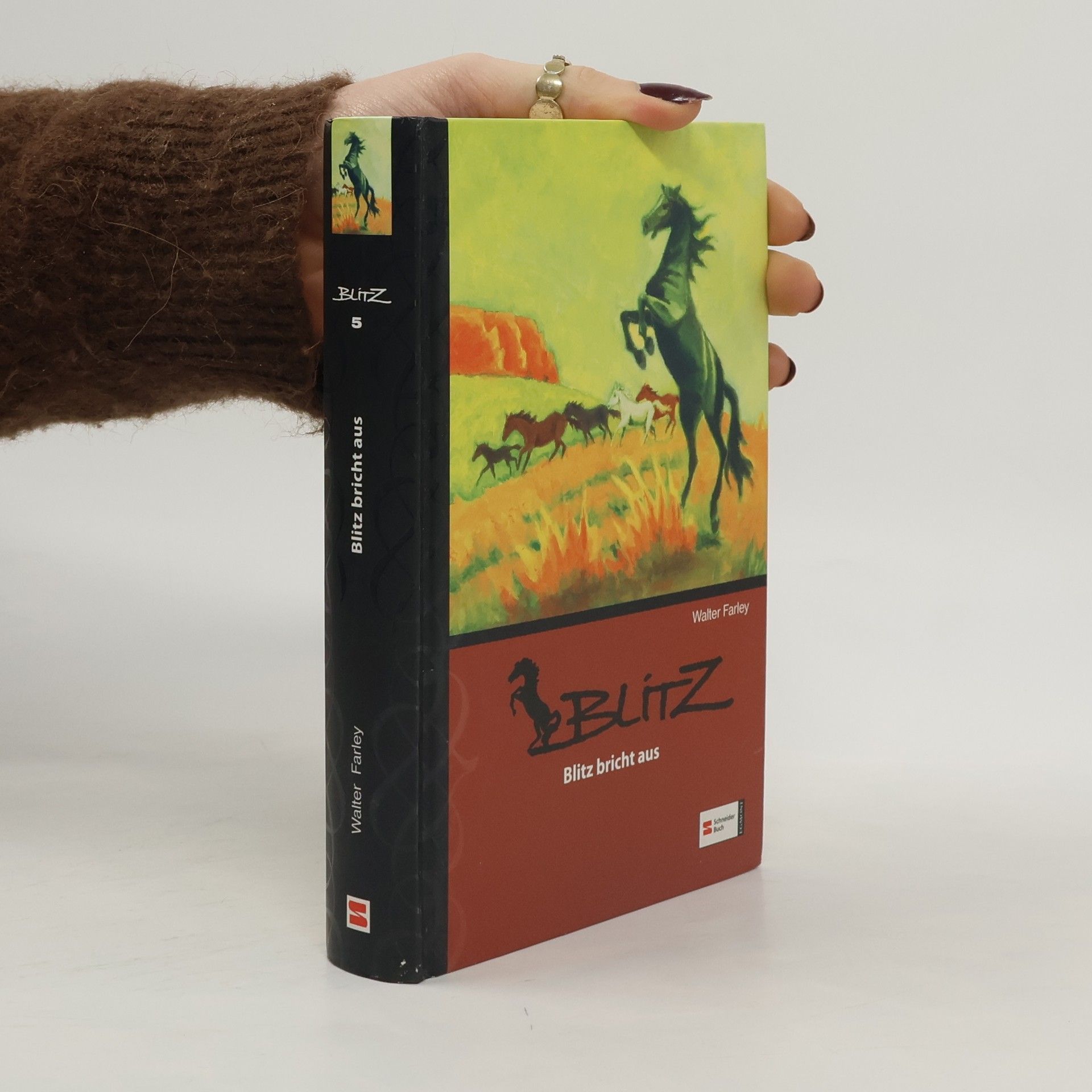 Walter Farley Blitz bricht aus. Band 5