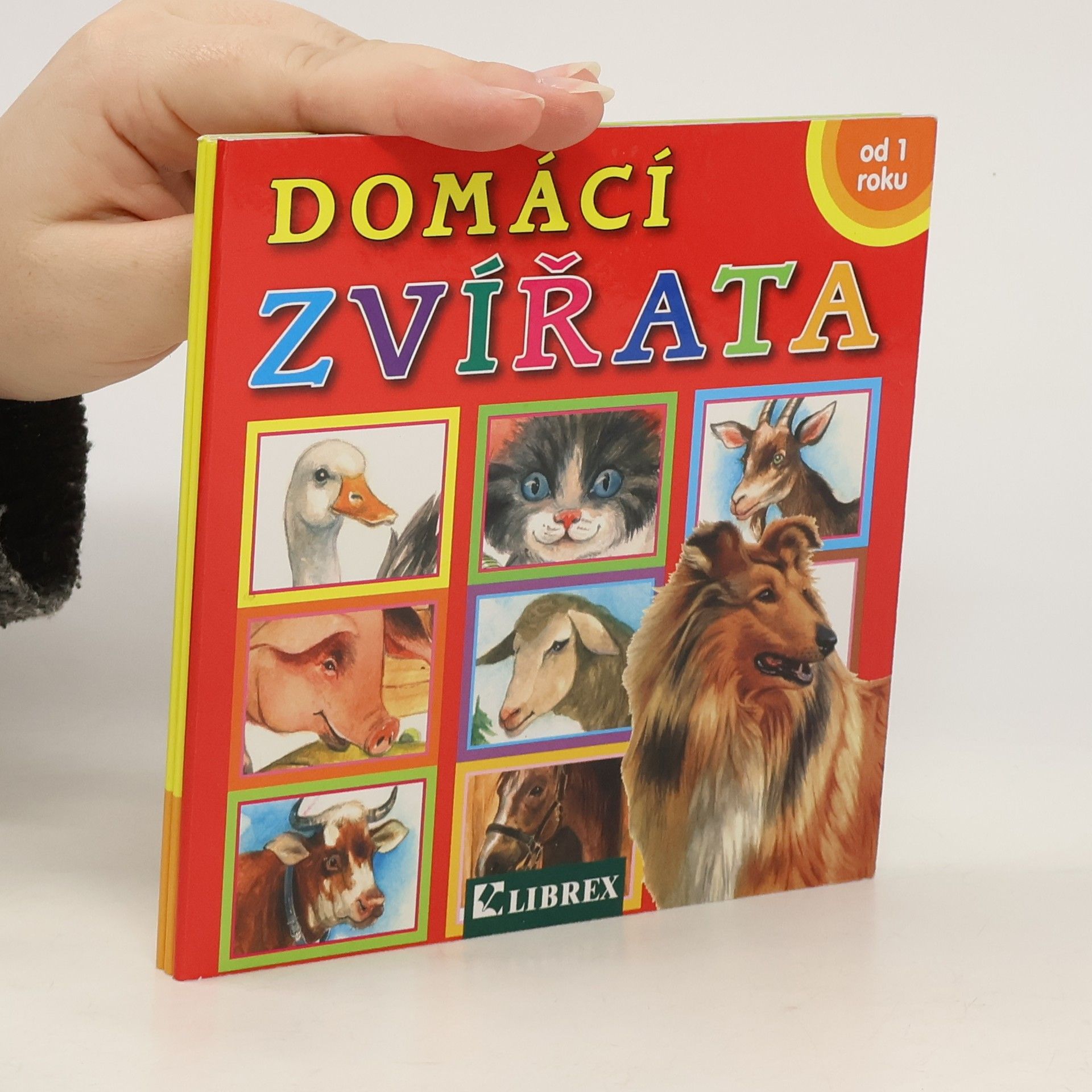 Dagmar Košková Domácí zvířata