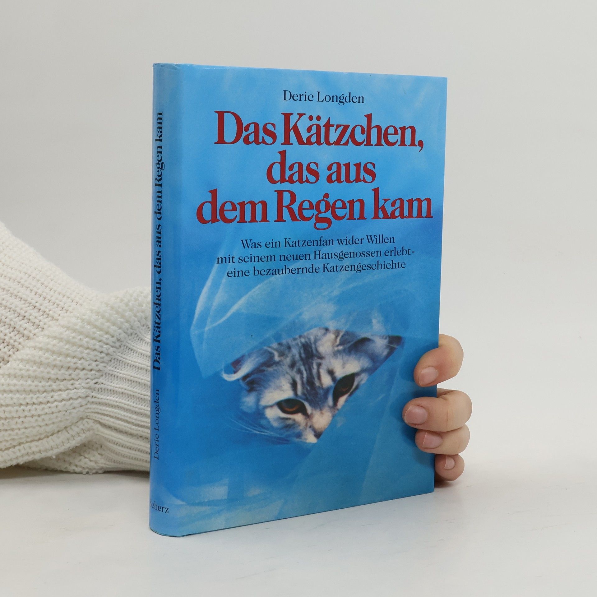 Deric Longden Das Kätzchen, das aus dem Regen kam