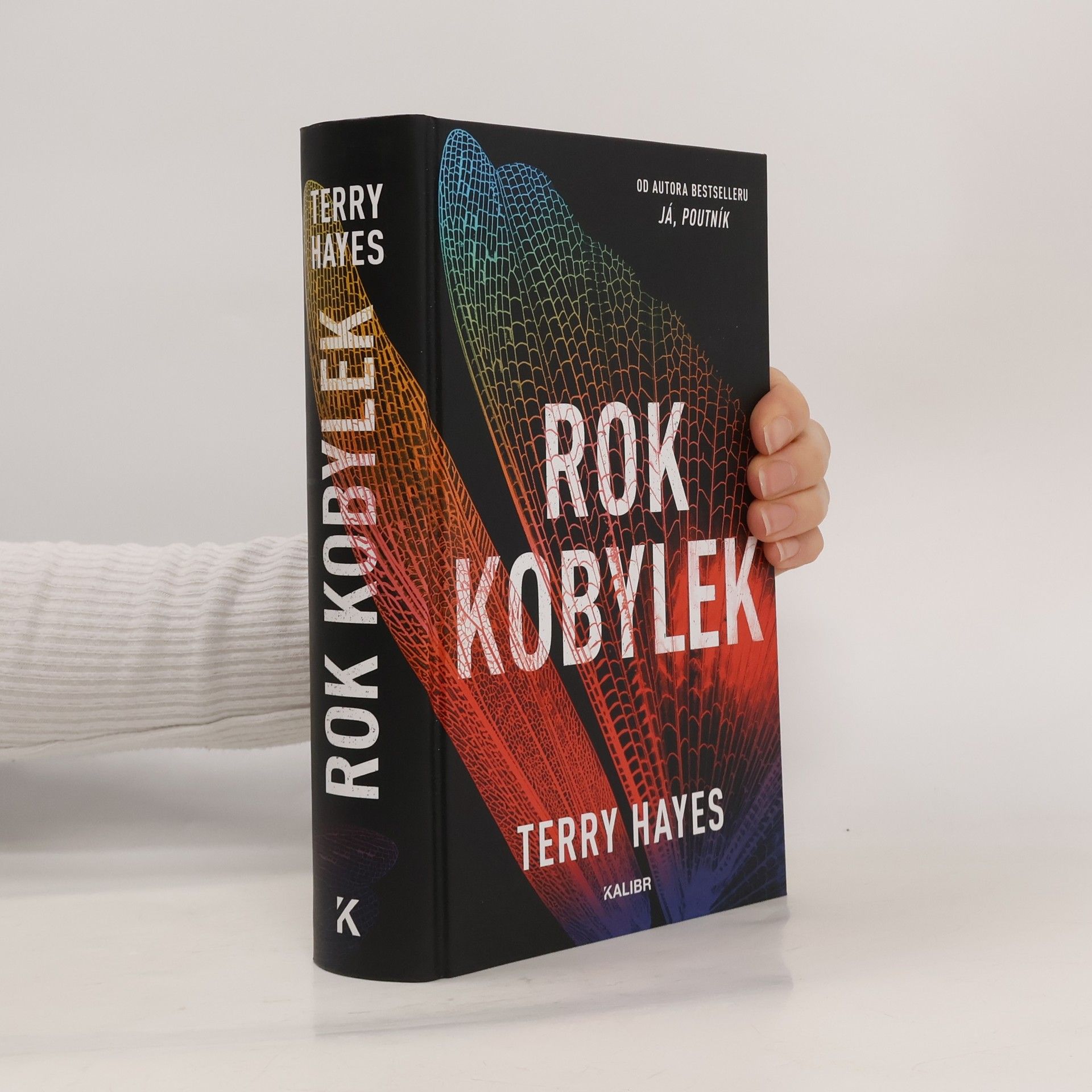 Terry Hayes Rok kobylek