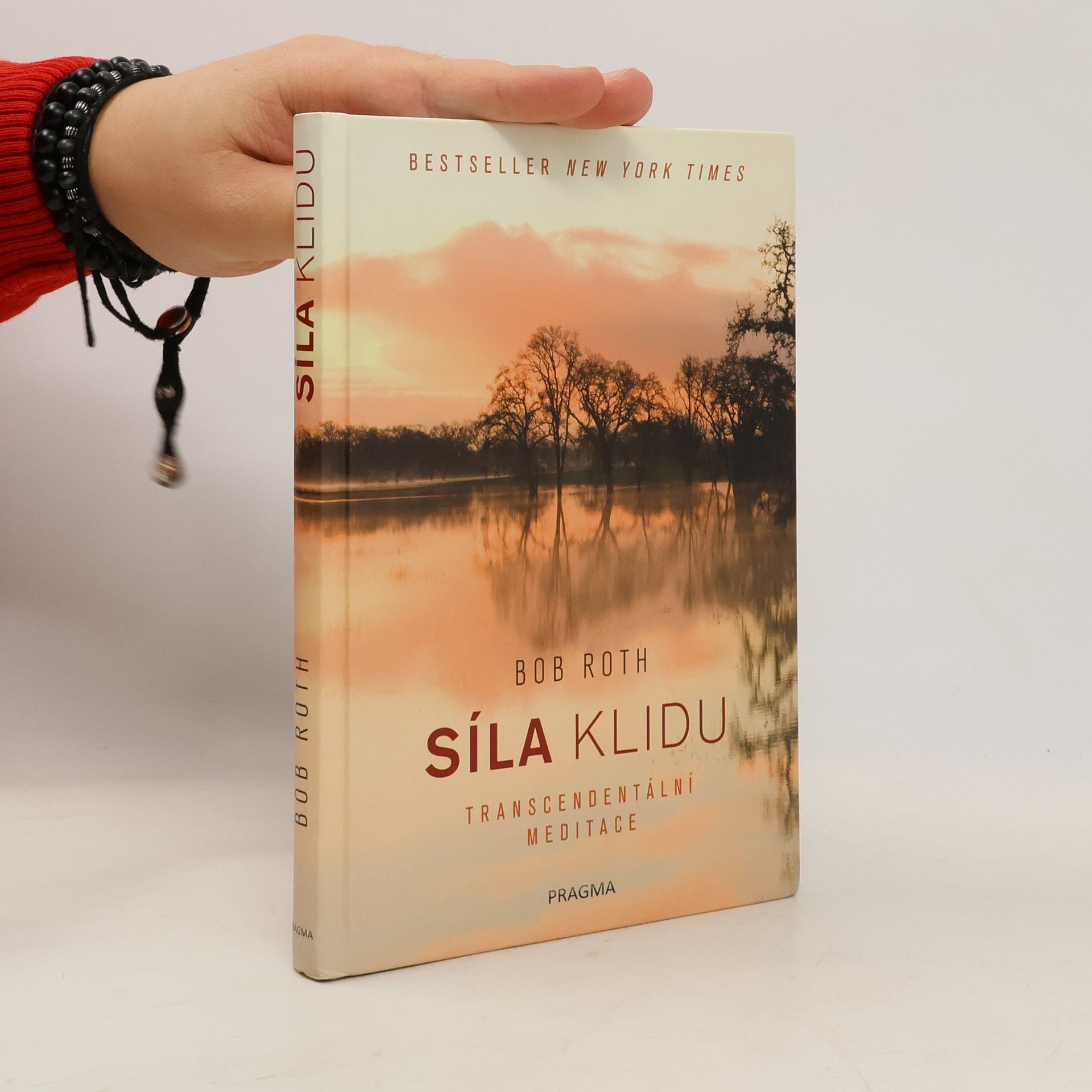 Bob Roth Síla klidu. Transcendentální meditace