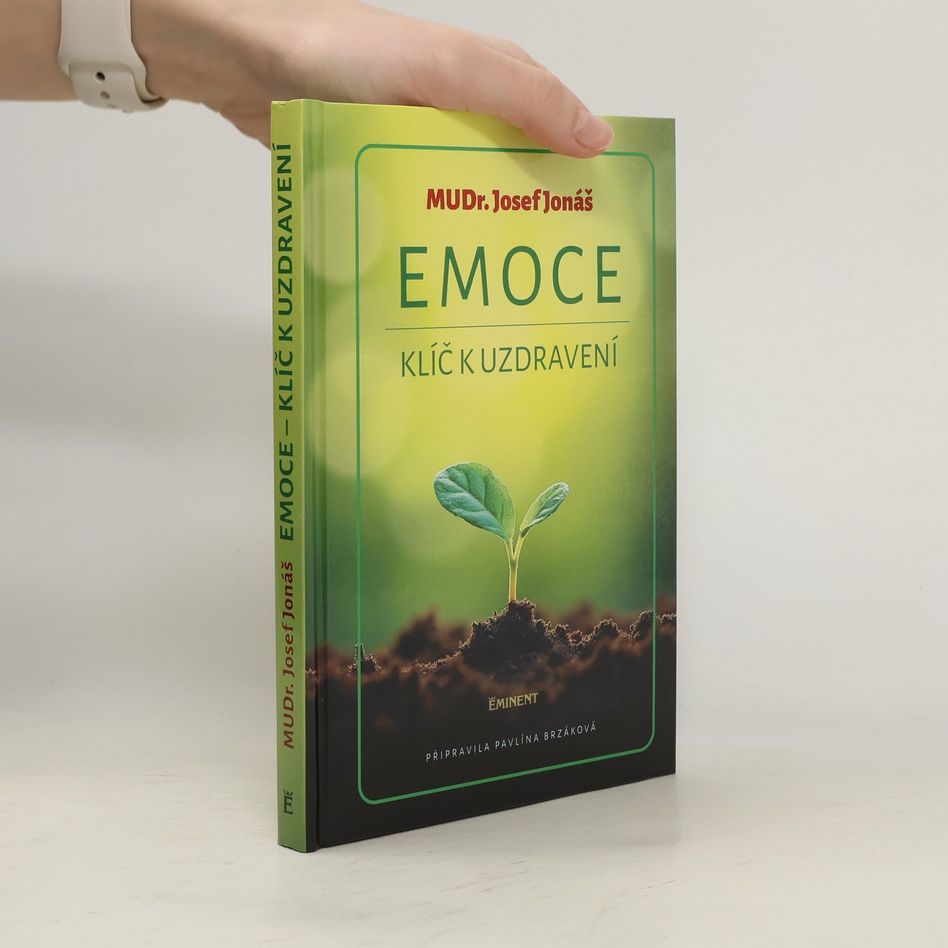 Emoce – klíč k uzdravení