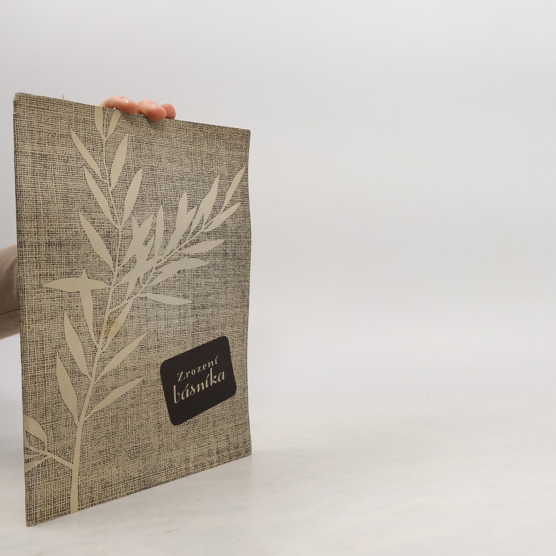 Ivan Herben Zrození básníka