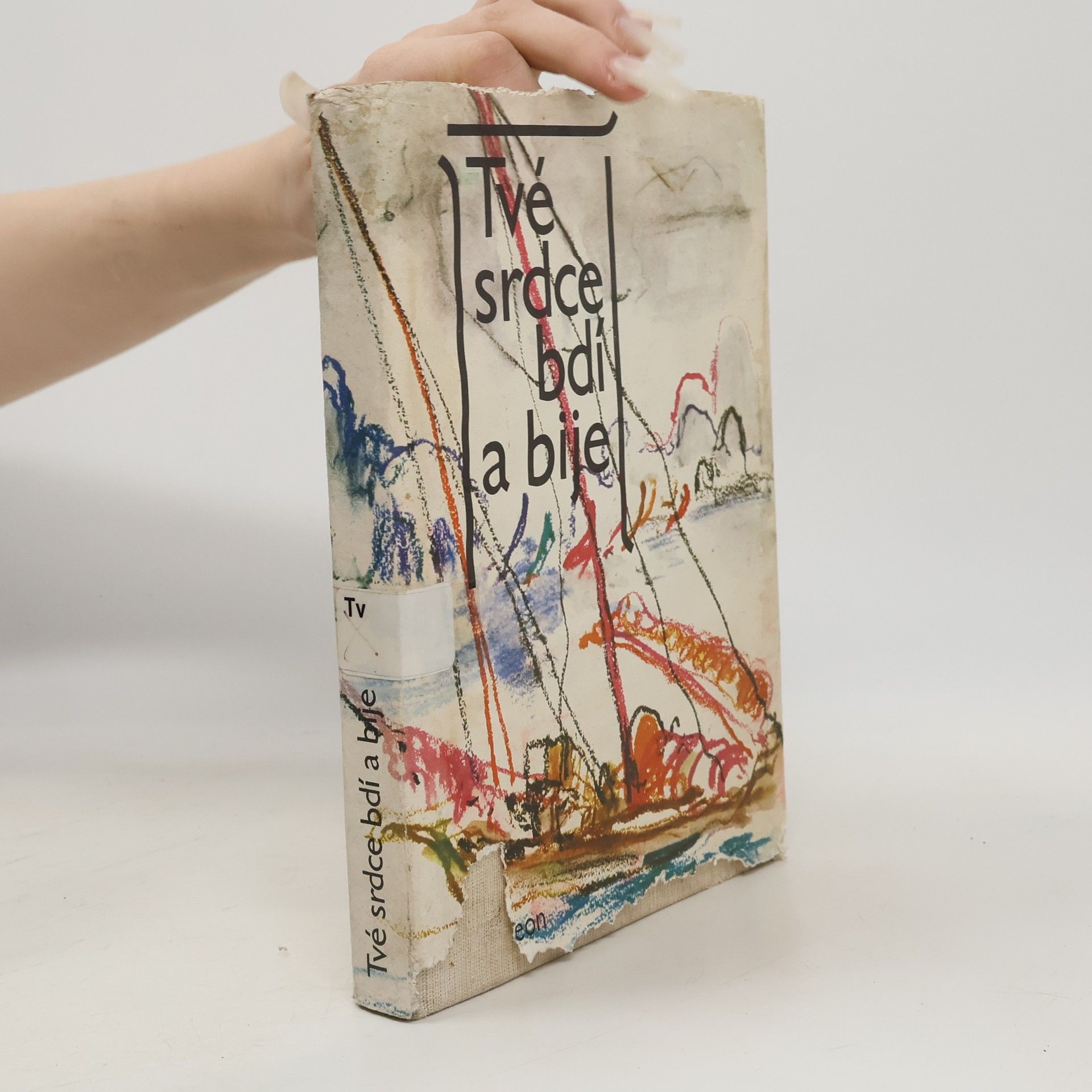 Iva Klinderová Tvé srdce bdí a bije : výbor z vietnamské moderní poezie