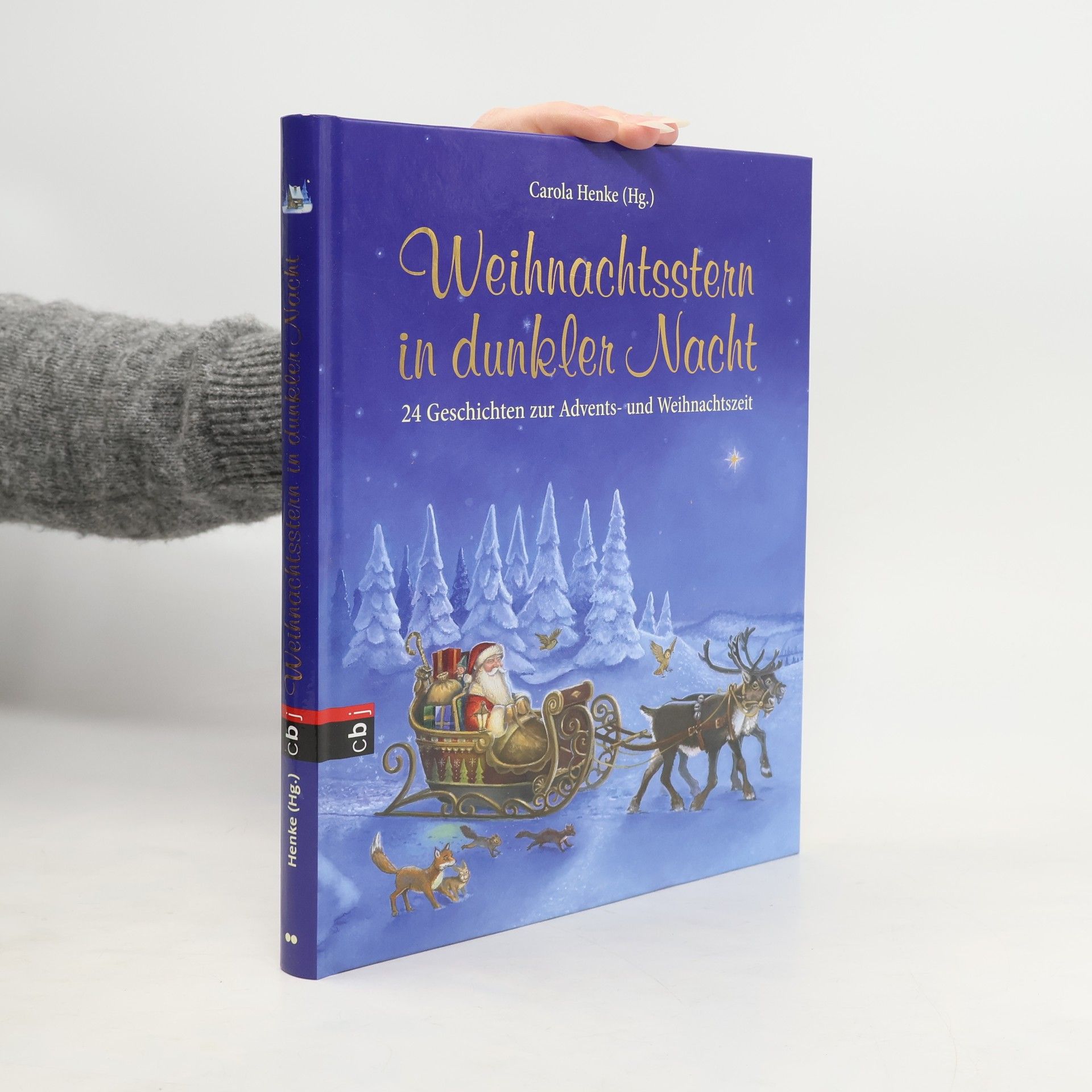 Carola Henke Weihnachtsstern in dunkler Nacht