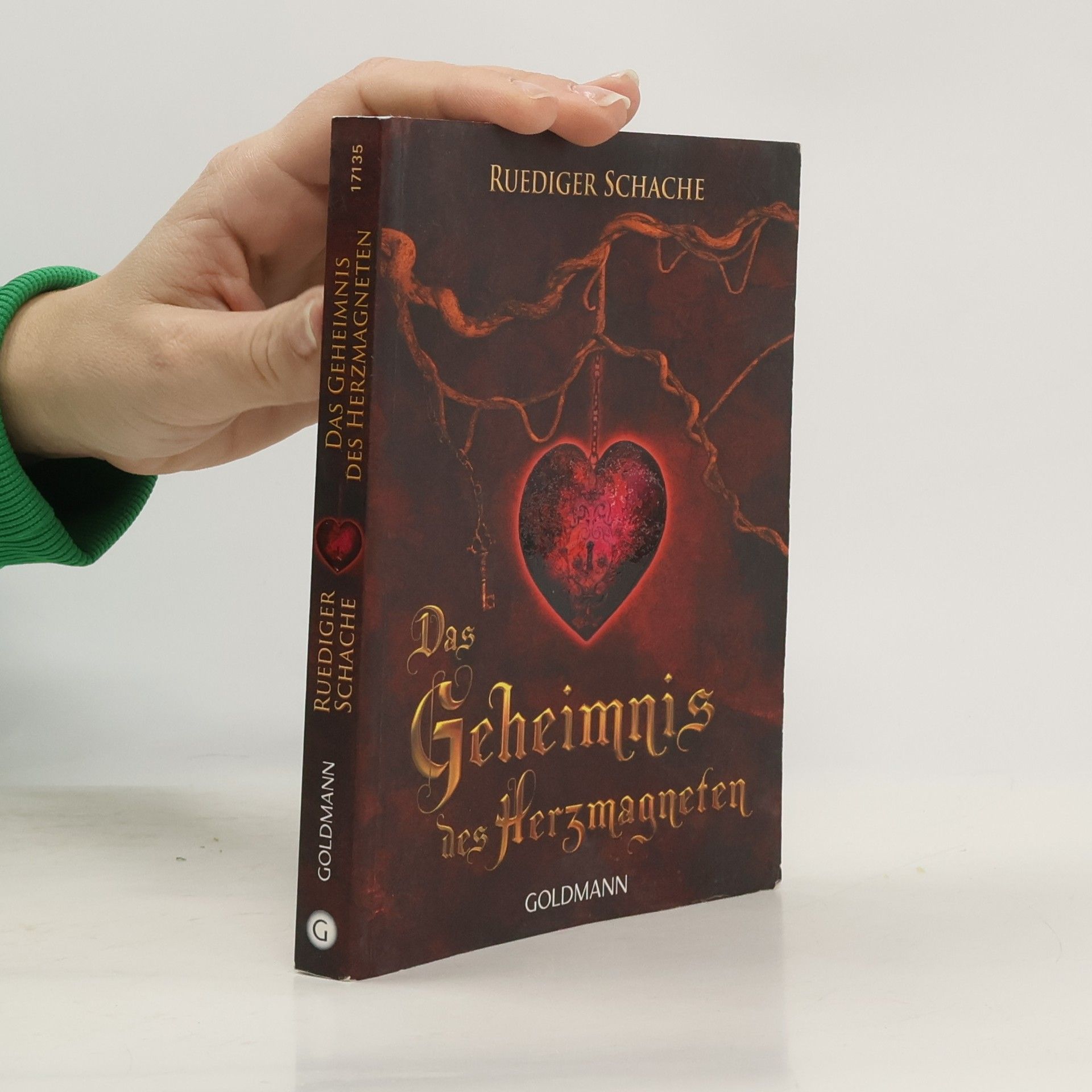Ruediger Schache Das Geheimnis des Herzmagneten