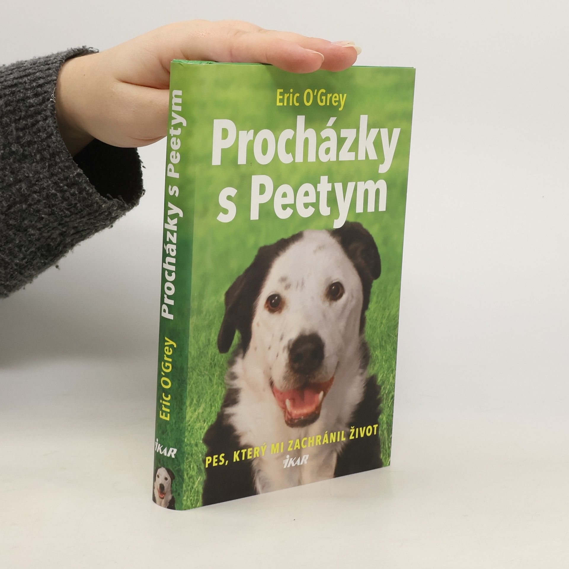 Procházky s Peetym : pes, který mi zachránil život