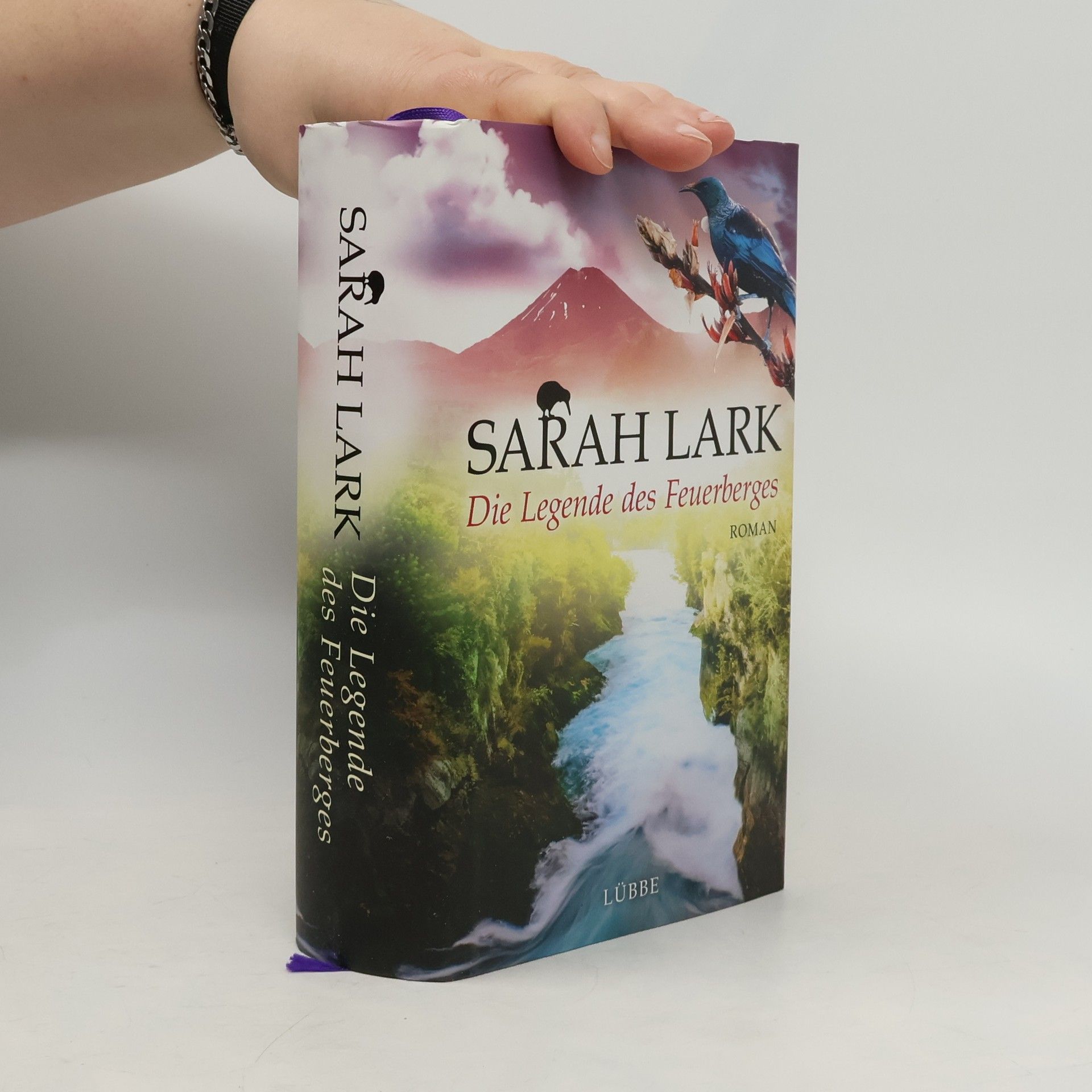 Christiane Gohl Die Legende des Feuerberges