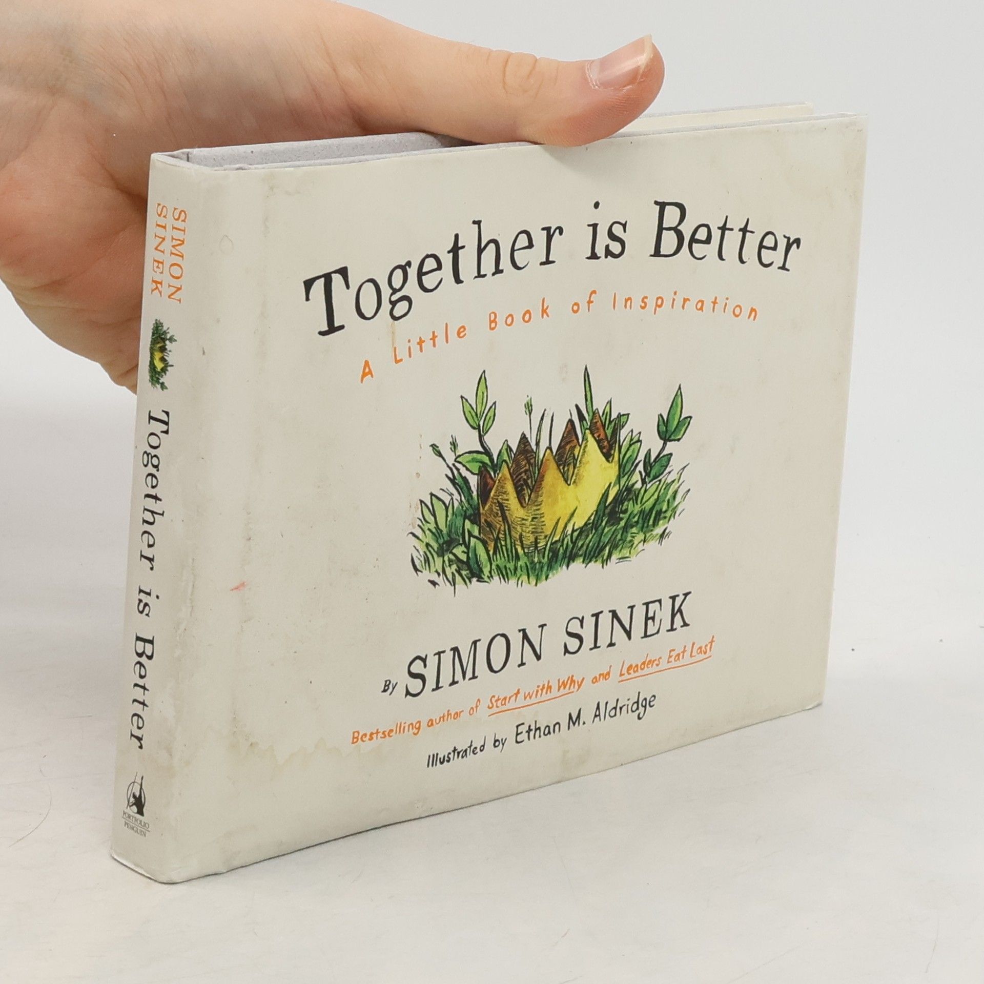 Simon Sinek Together is better : a little book of inspiration