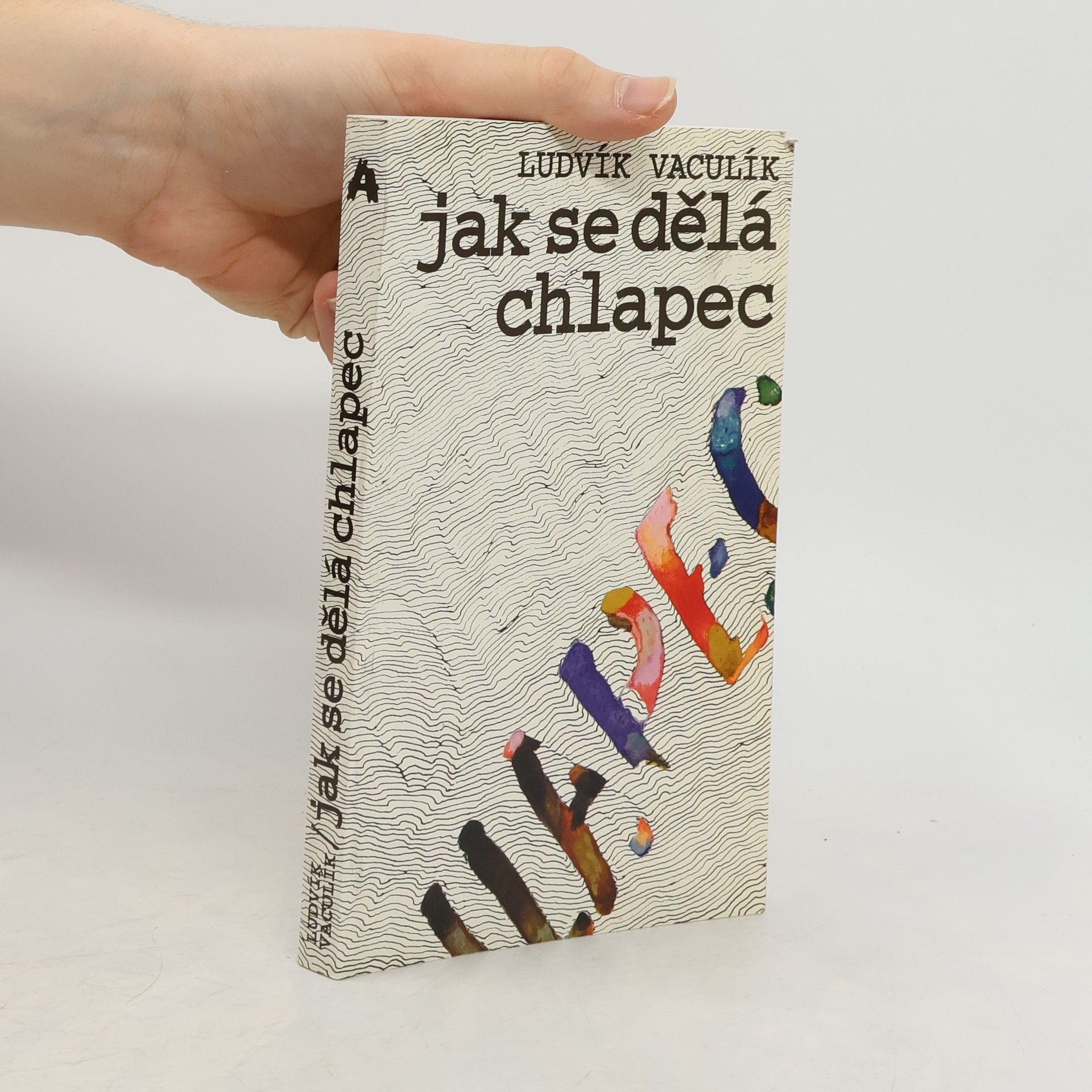 Ludvík Vaculík Jak se dělá chlapec