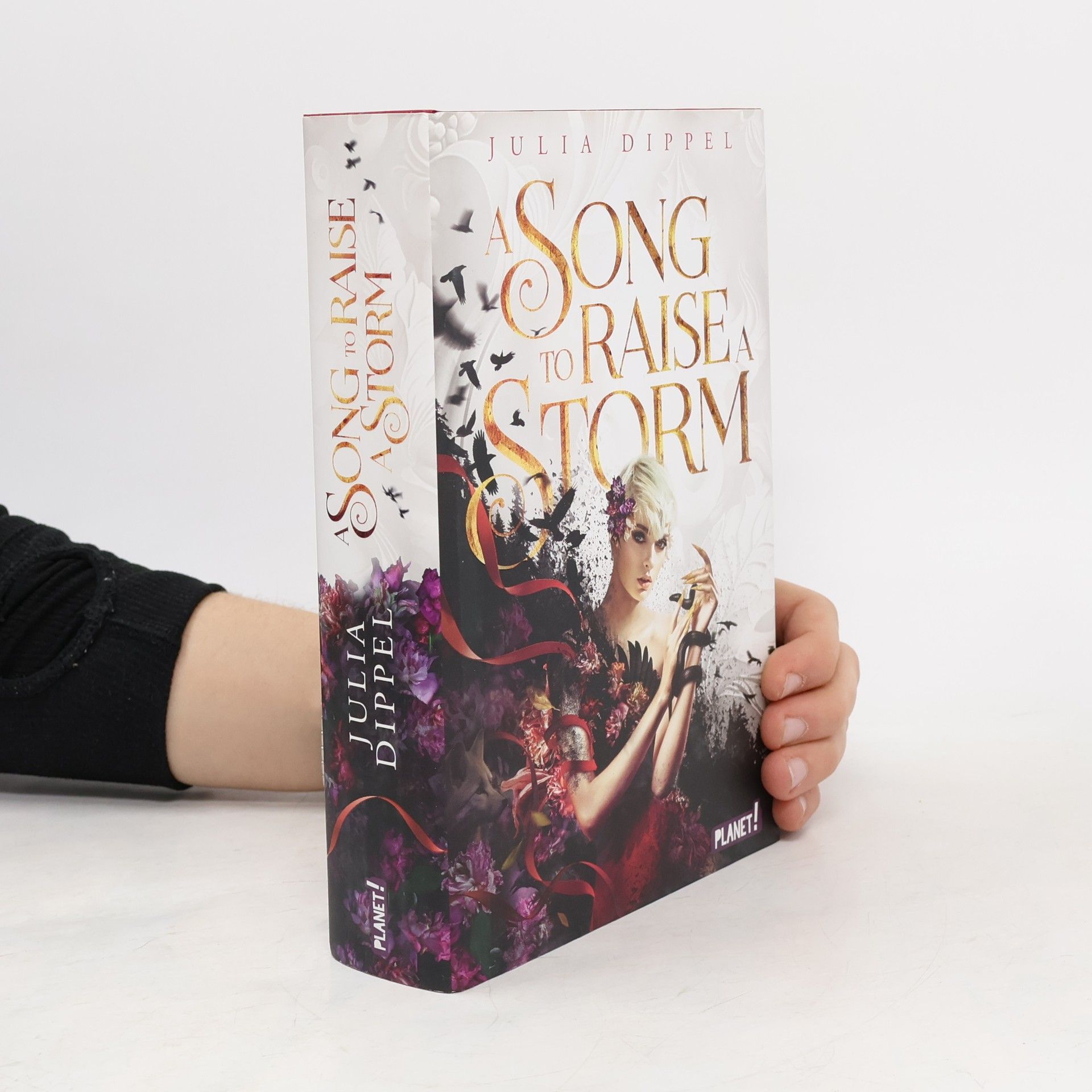 Julia Dippel Die Sonnenfeuer-Ballade 1: A Song to Raise a Storm