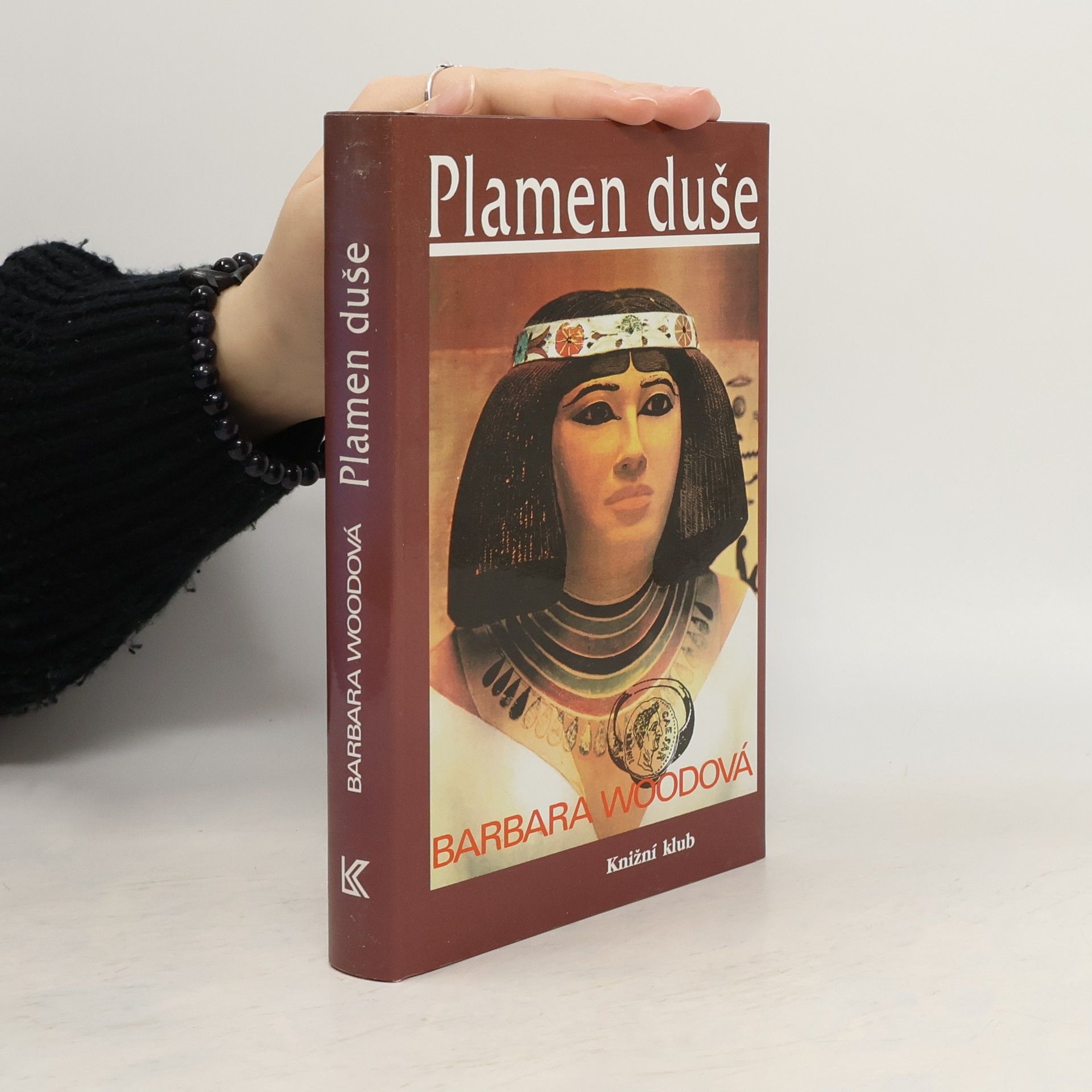 Barbara Wood Plamen duše