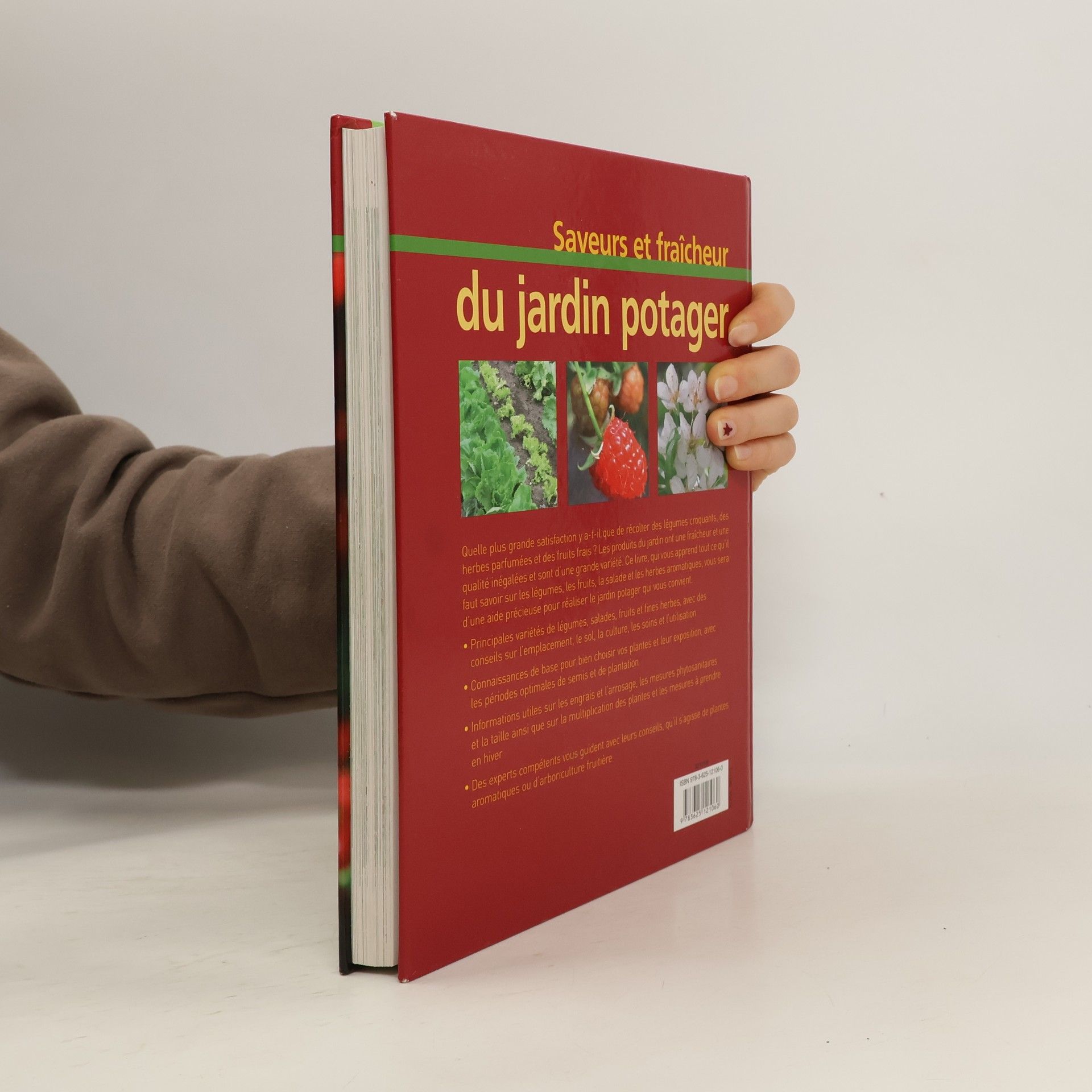 Autorenkollektiv Der erntefrische Küchengarten