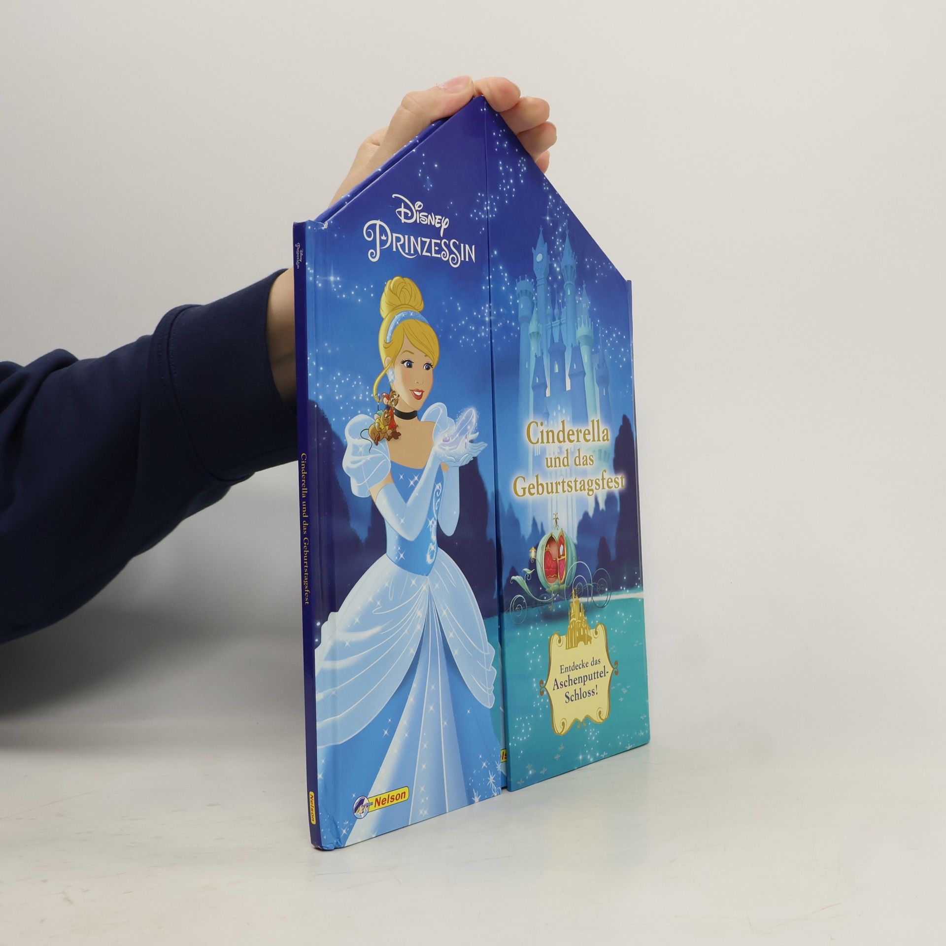 Constanze Steindamm Disney Prinzessin - Cinderella und das Geburtstagsfest