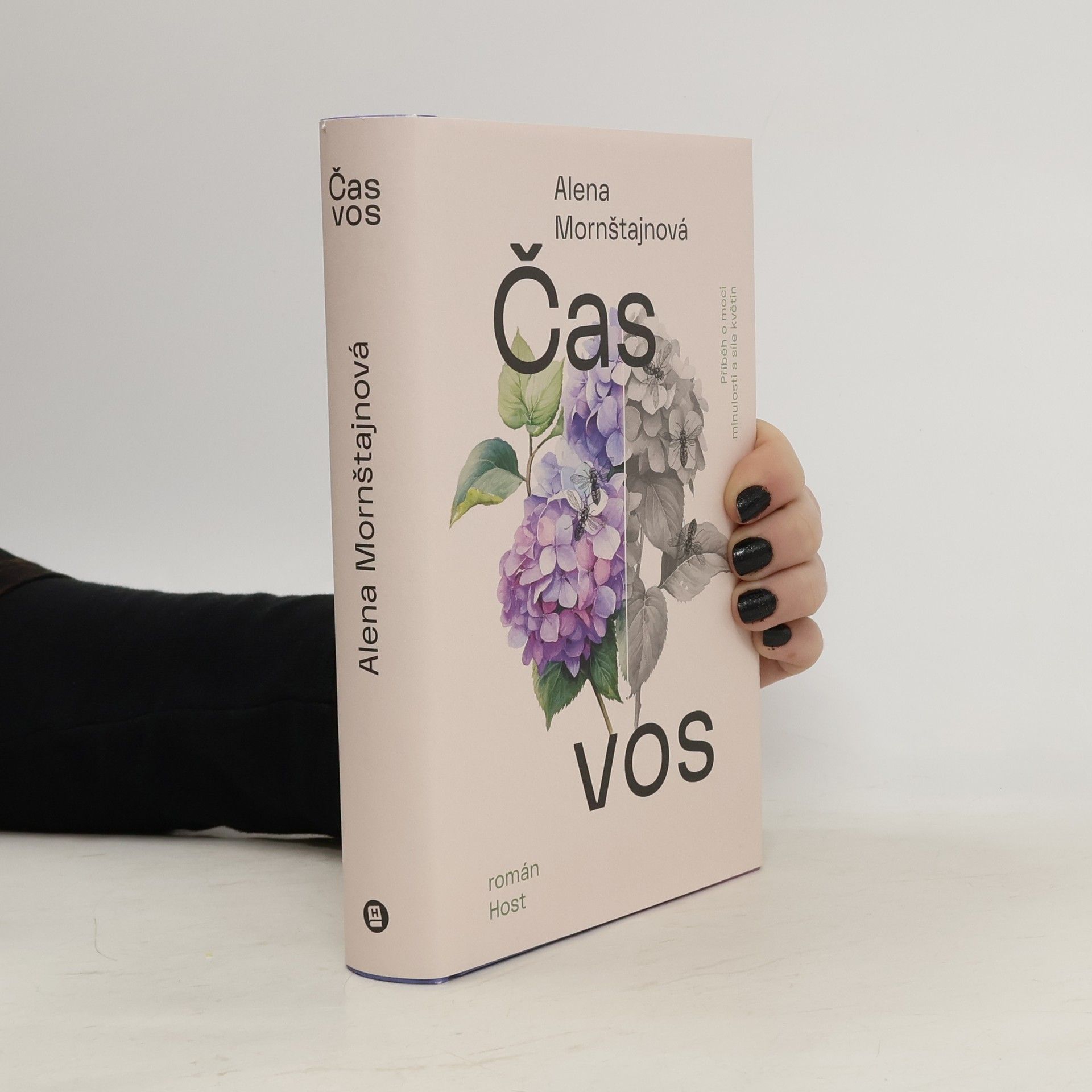 Alena Mornštajnová Čas vos