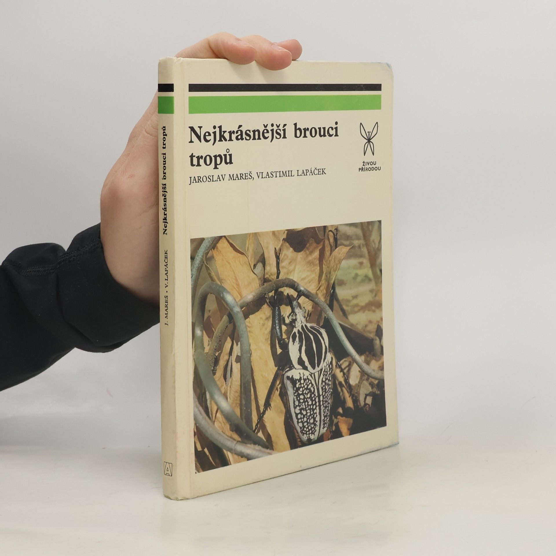 Jaroslav Mareš Nejkrásnější brouci tropů