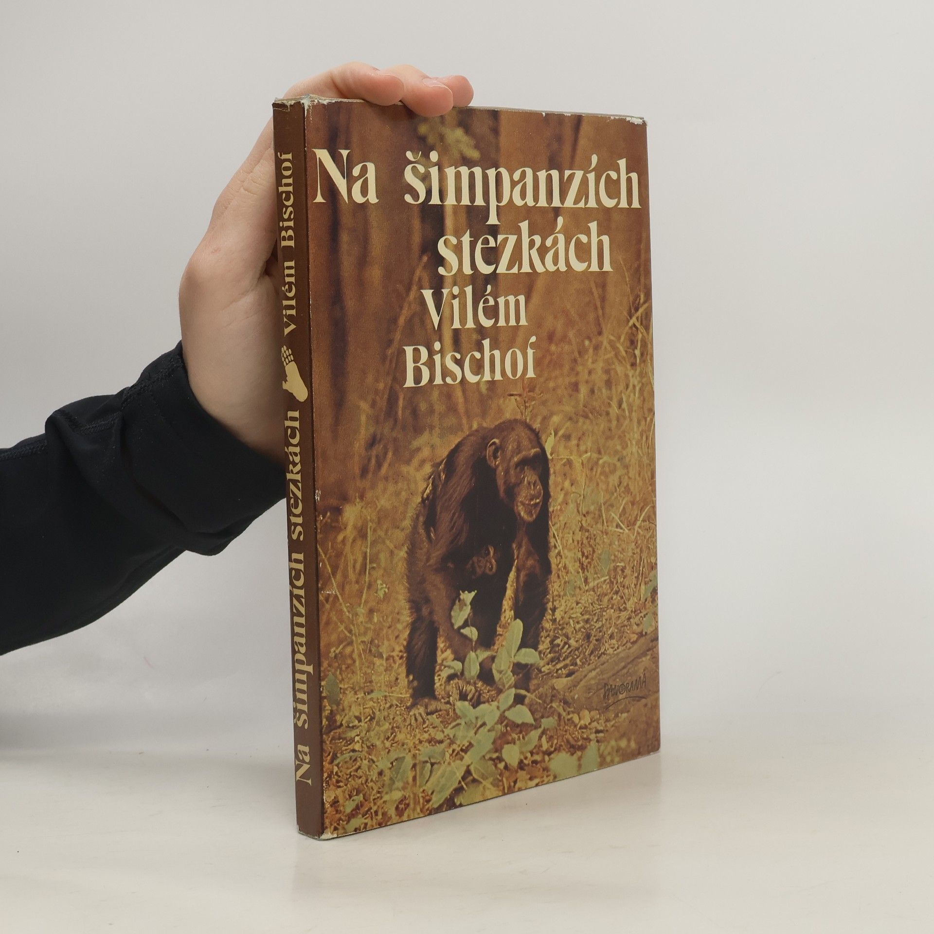 Na šimpanzích stezkách