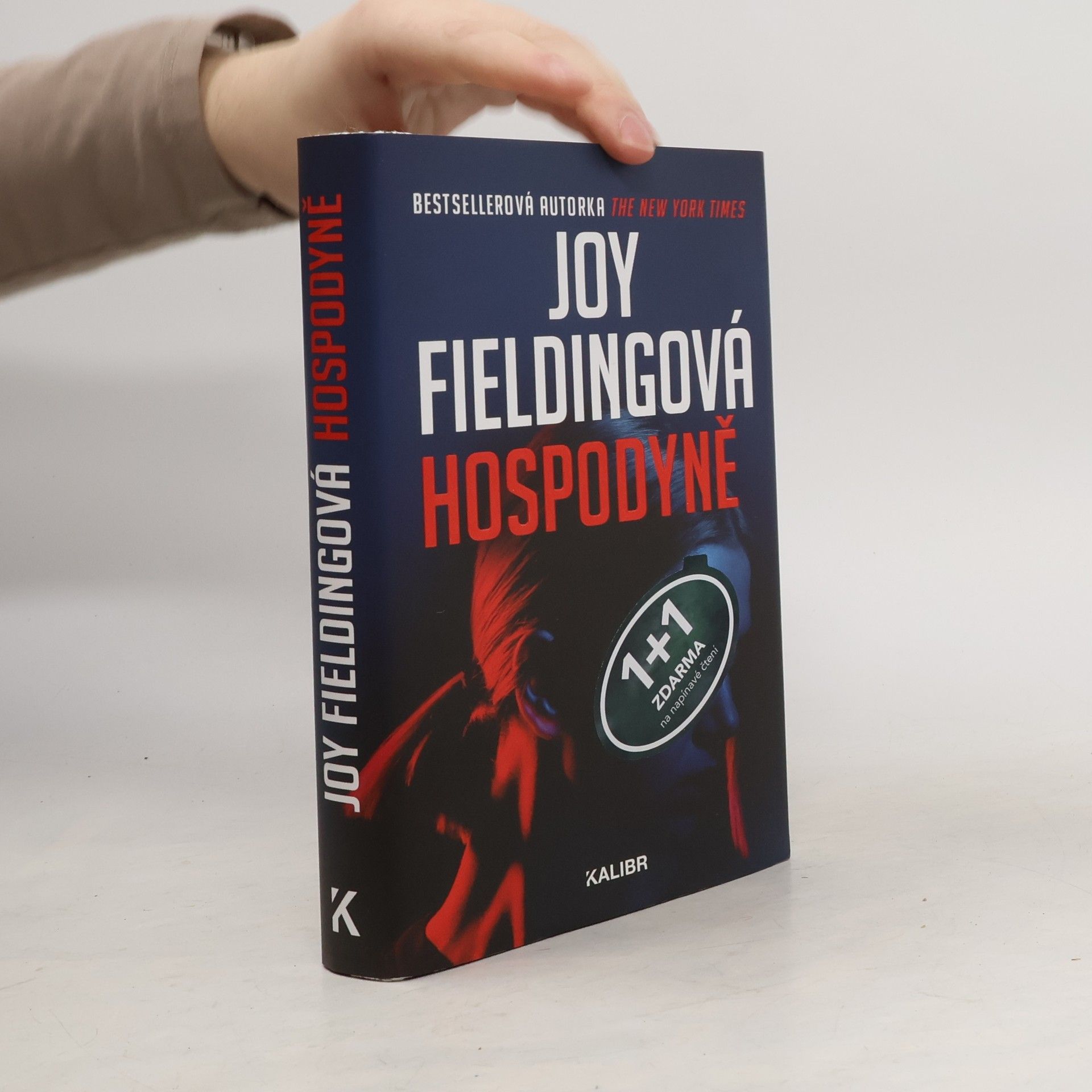 Joy Fielding Hospodyně
