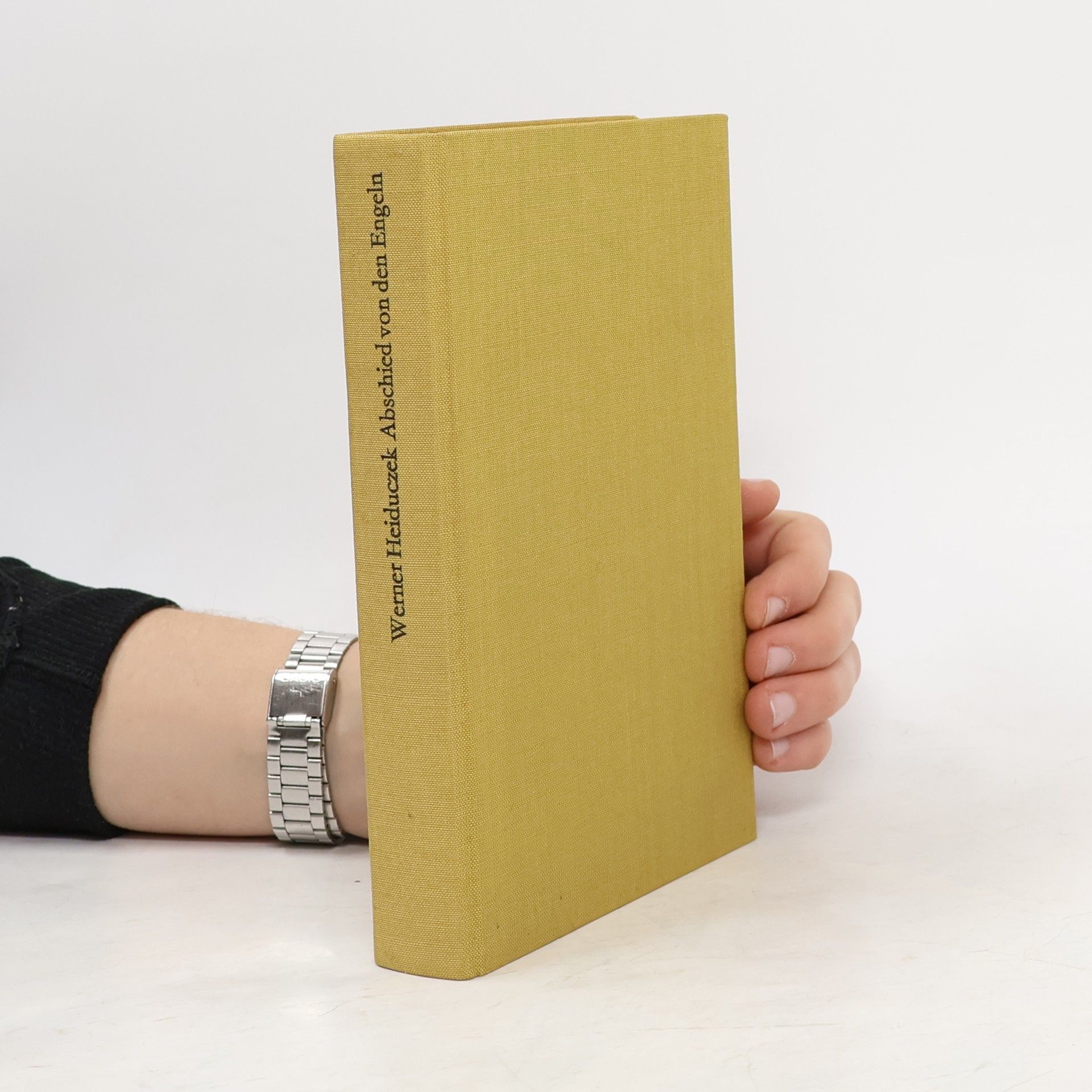 Werner Heiduczek Abschied von den Engeln