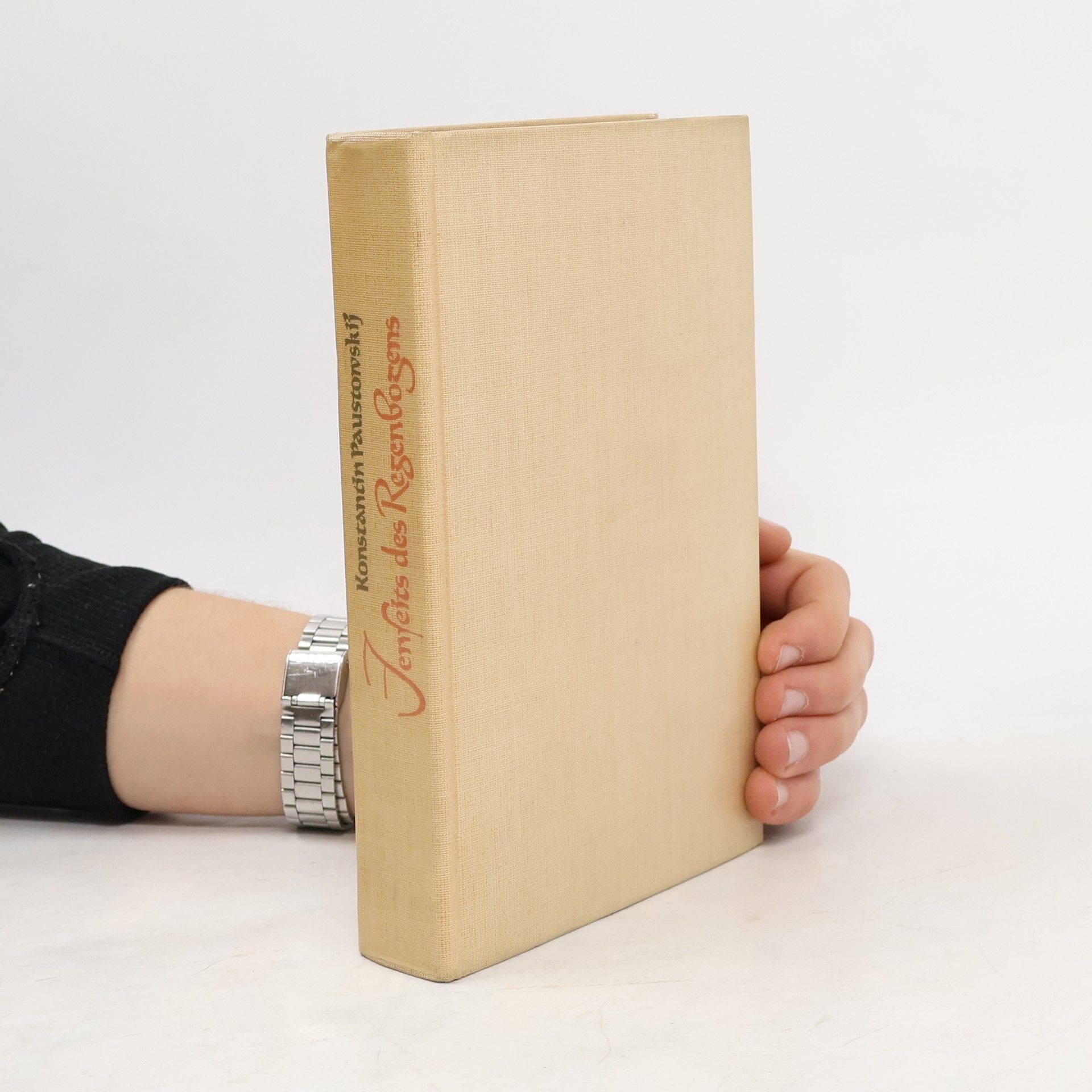 Konstantin Georgijevič Paustovskij Jenseits des Regenbogens