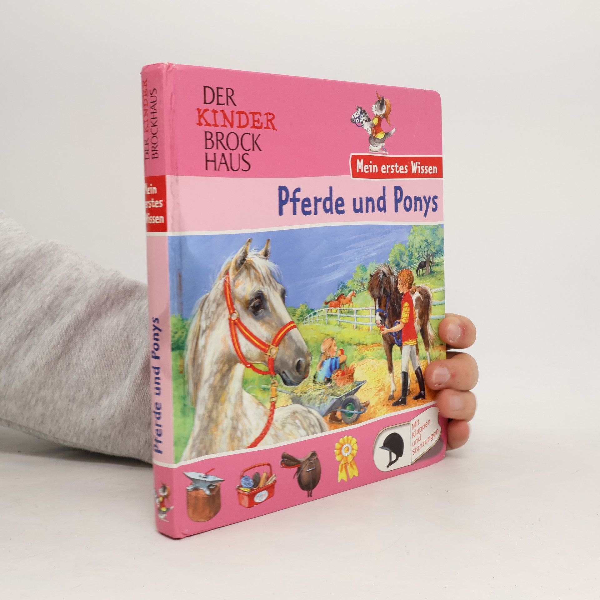 Pferde und Ponys