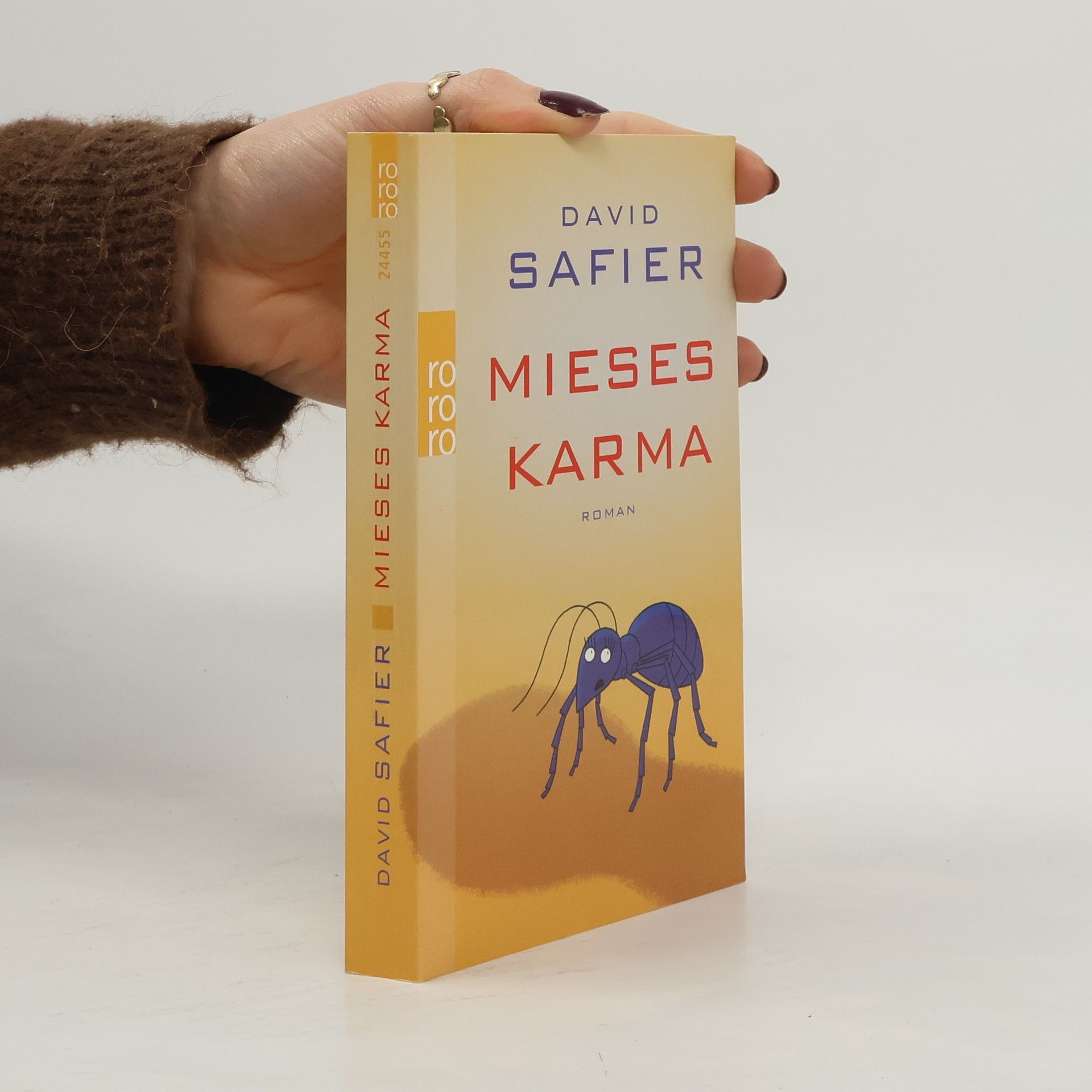 David Safier Mieses Karma