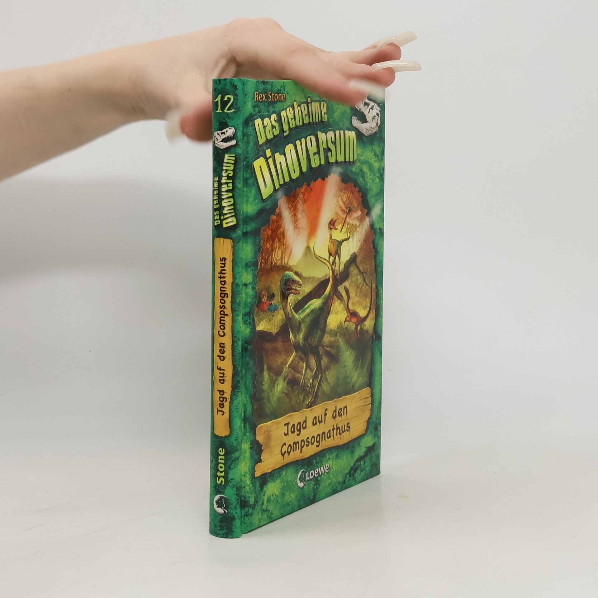 Das geheime Dinoversum 12