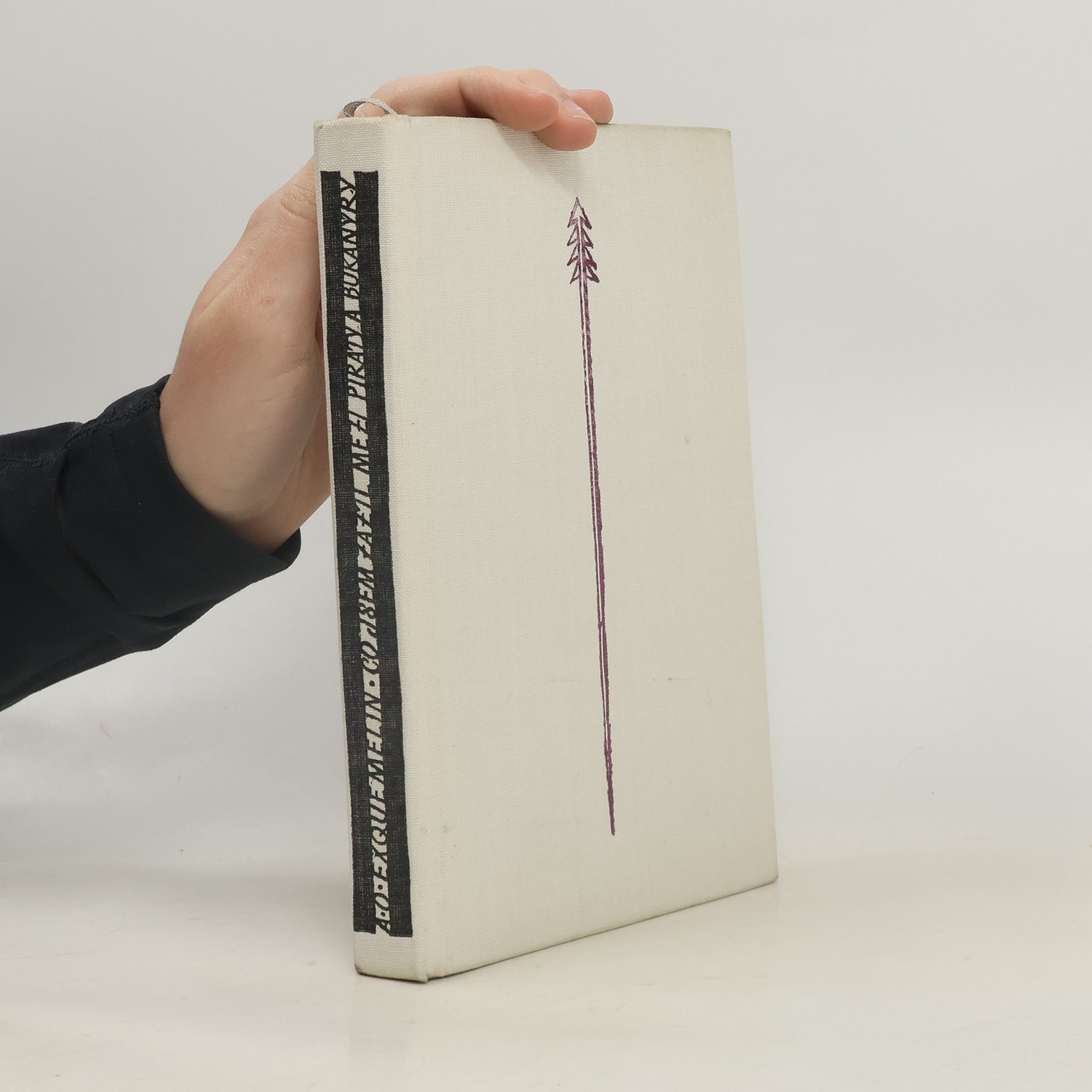 Jaroslav Šonka Co jsem zažil mezi piráty a bukanýry