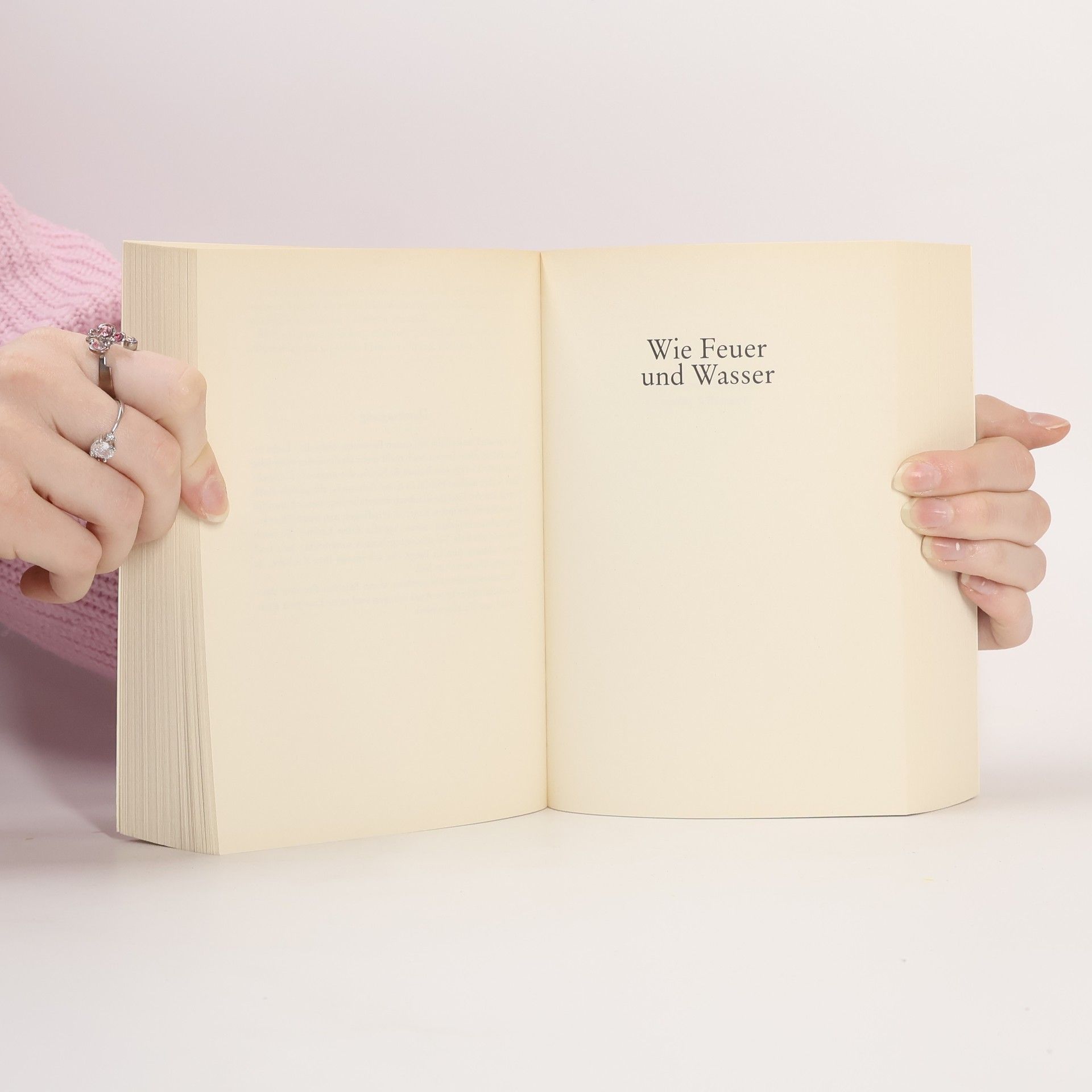 Jane Heller Liebe im Preis inbegriffen. Wie Feuer und Wasser